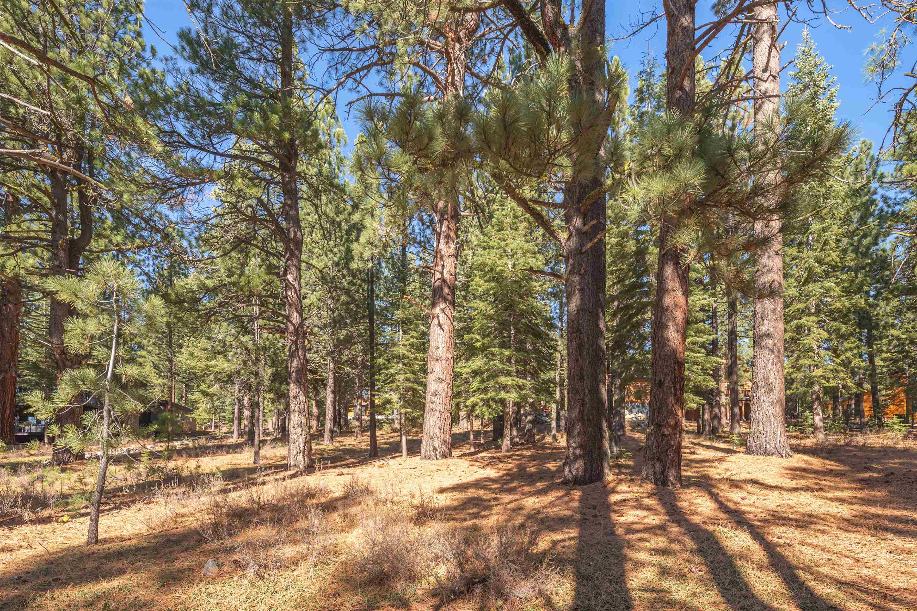 11925 Saddleback Drive