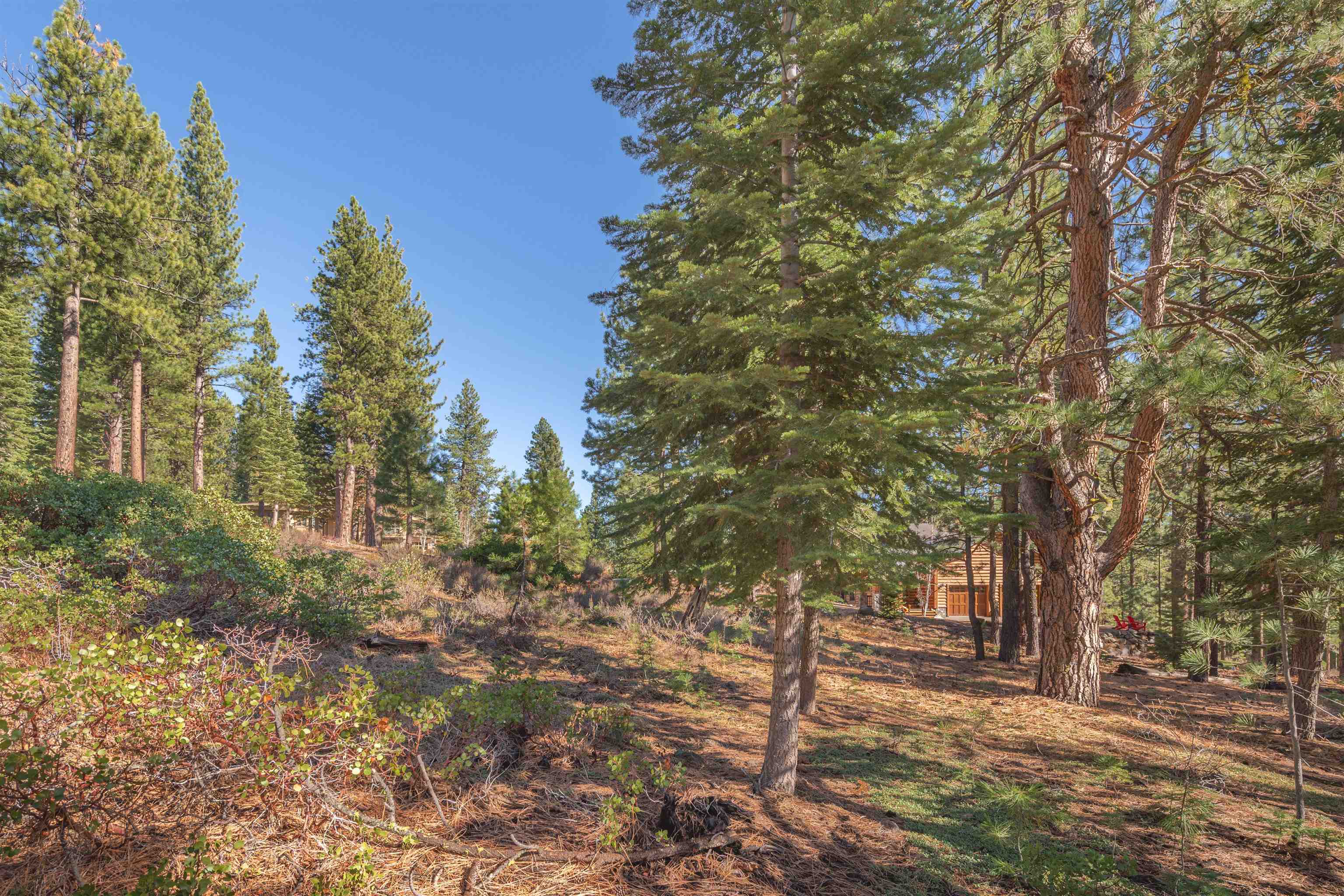 11925 Saddleback Drive