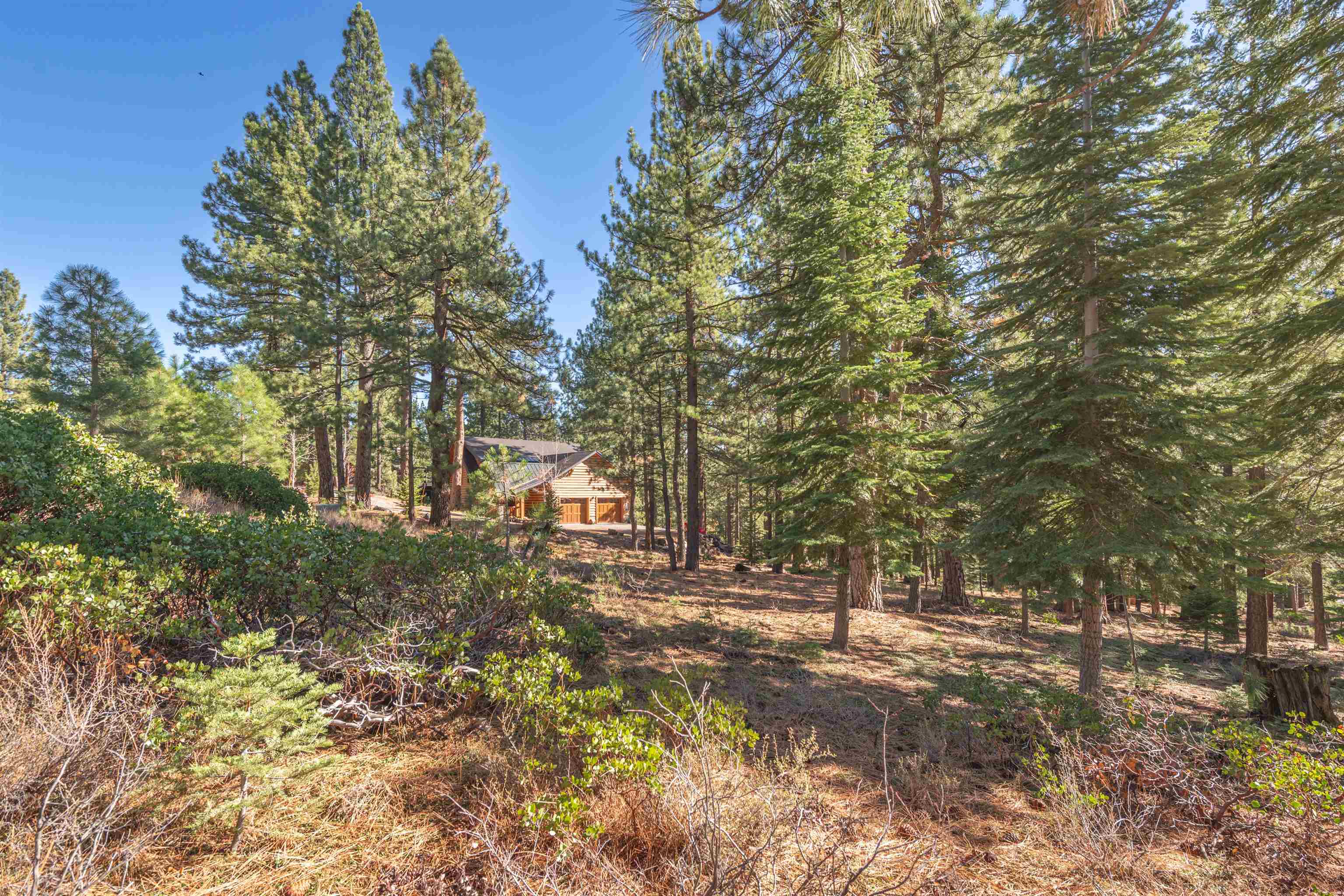 11925 Saddleback Drive