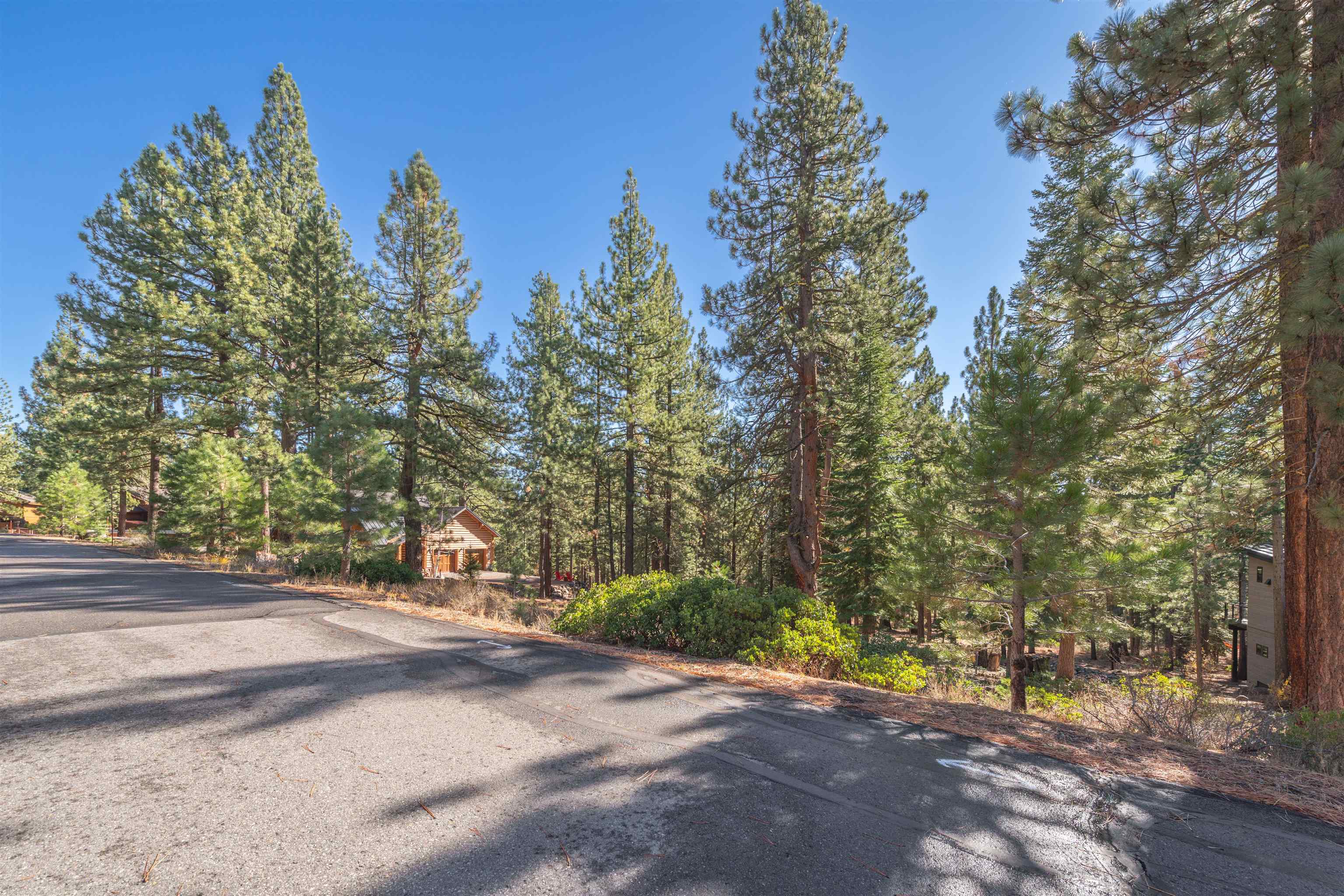 11925 Saddleback Drive