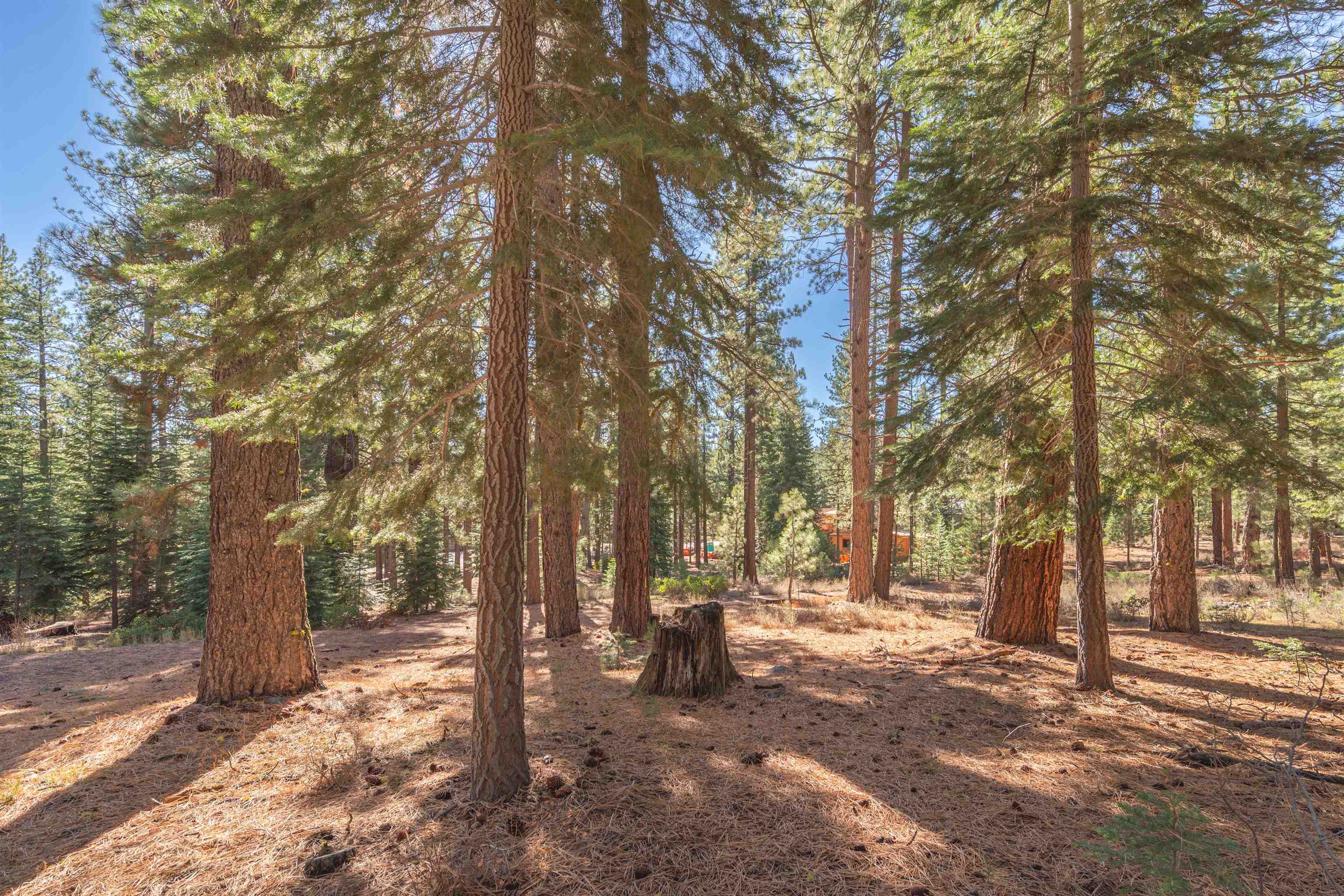 11925 Saddleback Drive