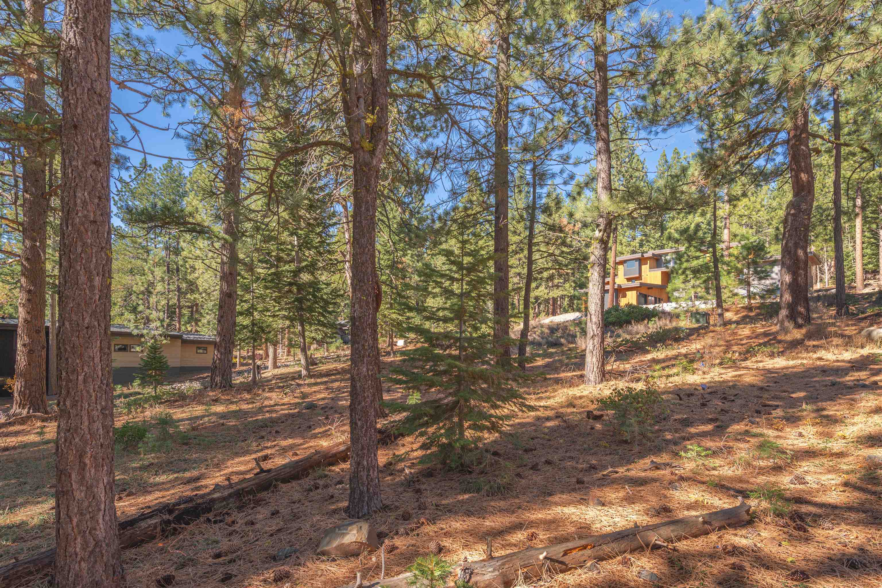 11925 Saddleback Drive