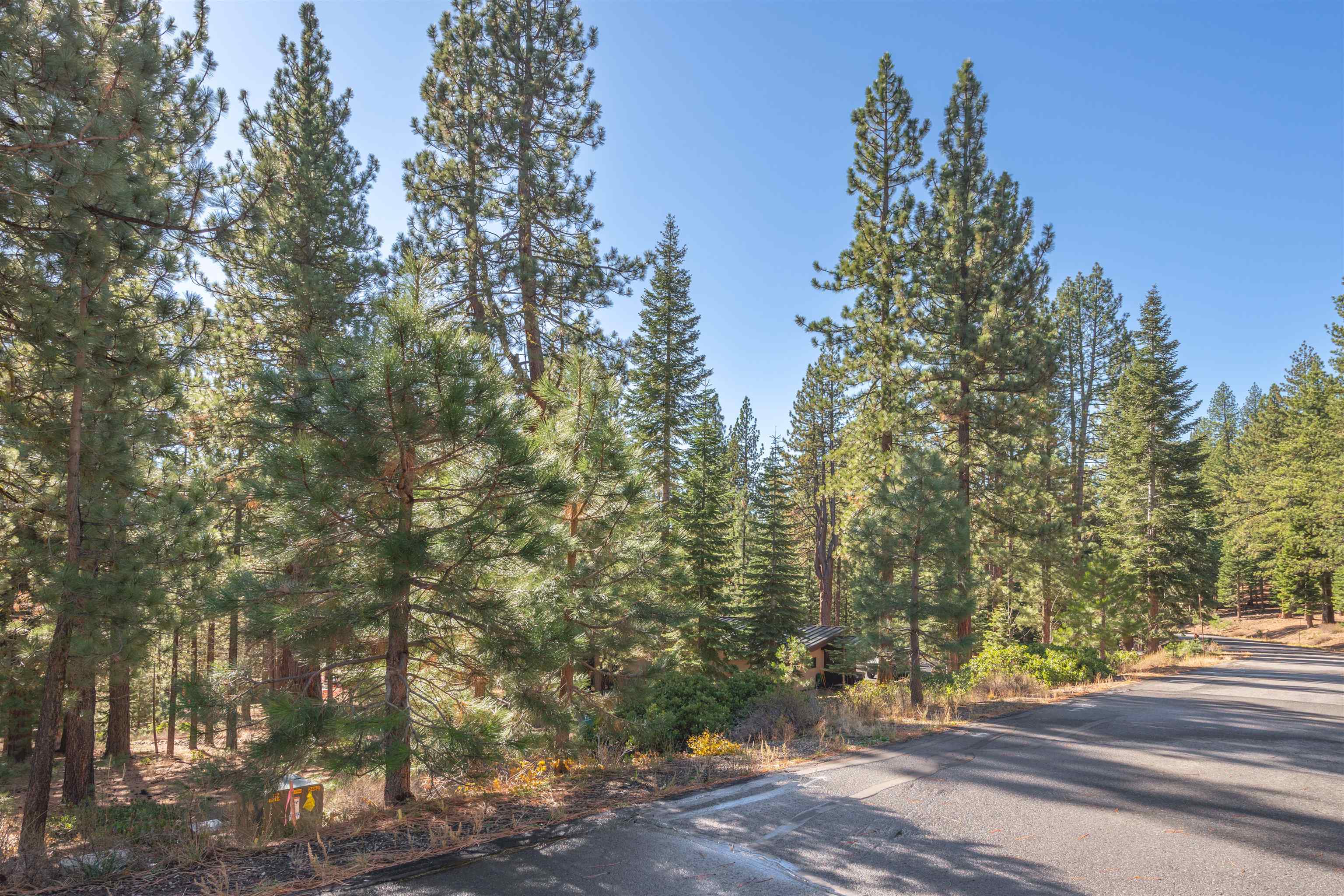 11925 Saddleback Drive