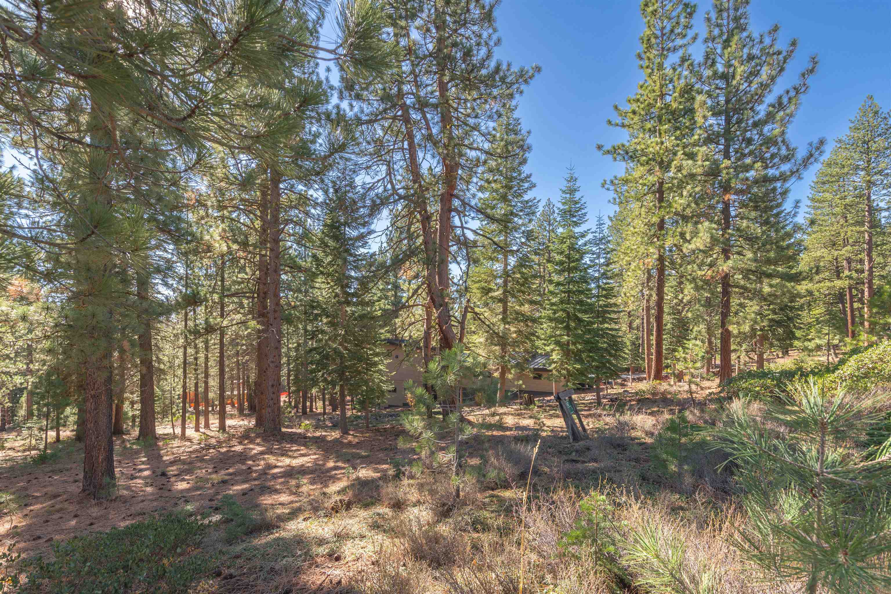 11925 Saddleback Drive