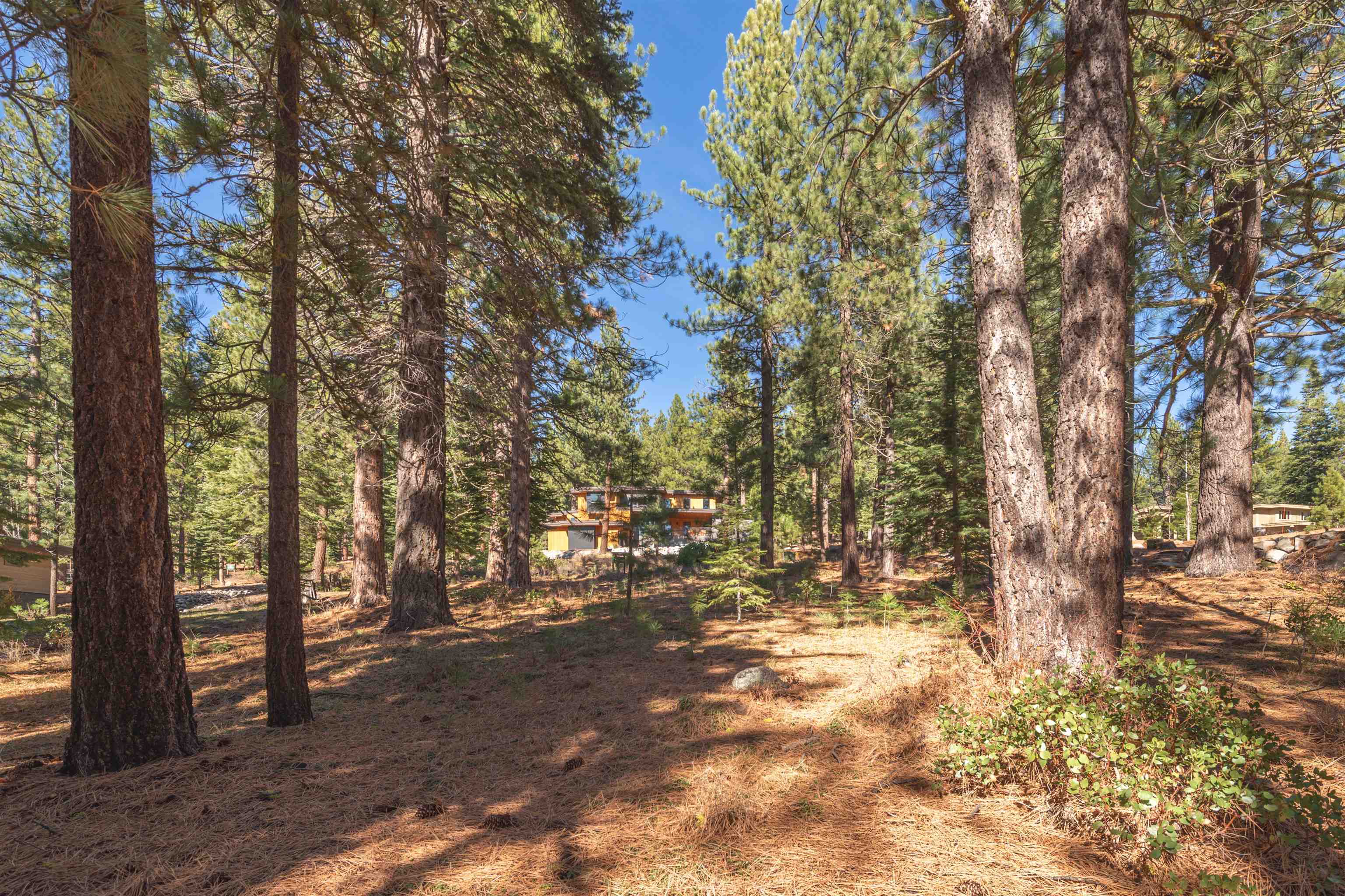 11925 Saddleback Drive