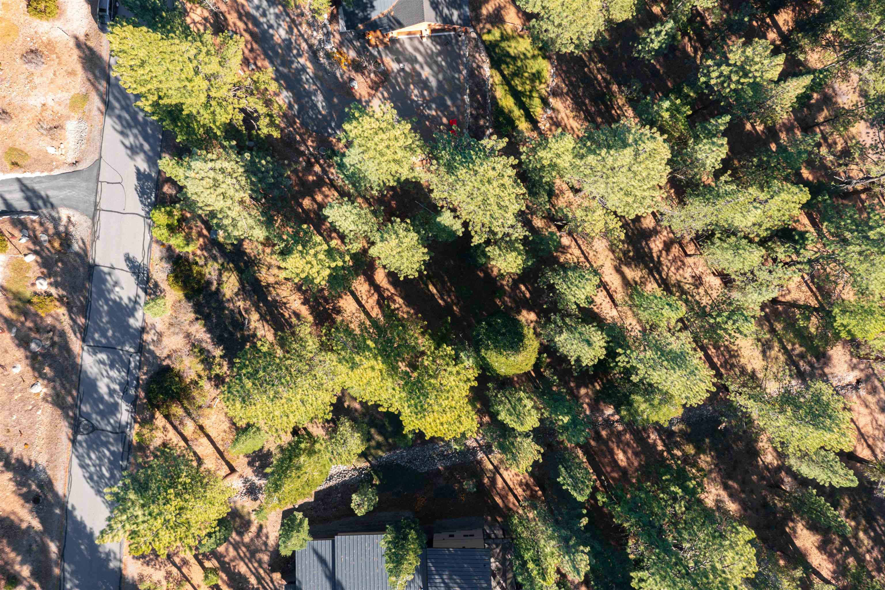 11925 Saddleback Drive