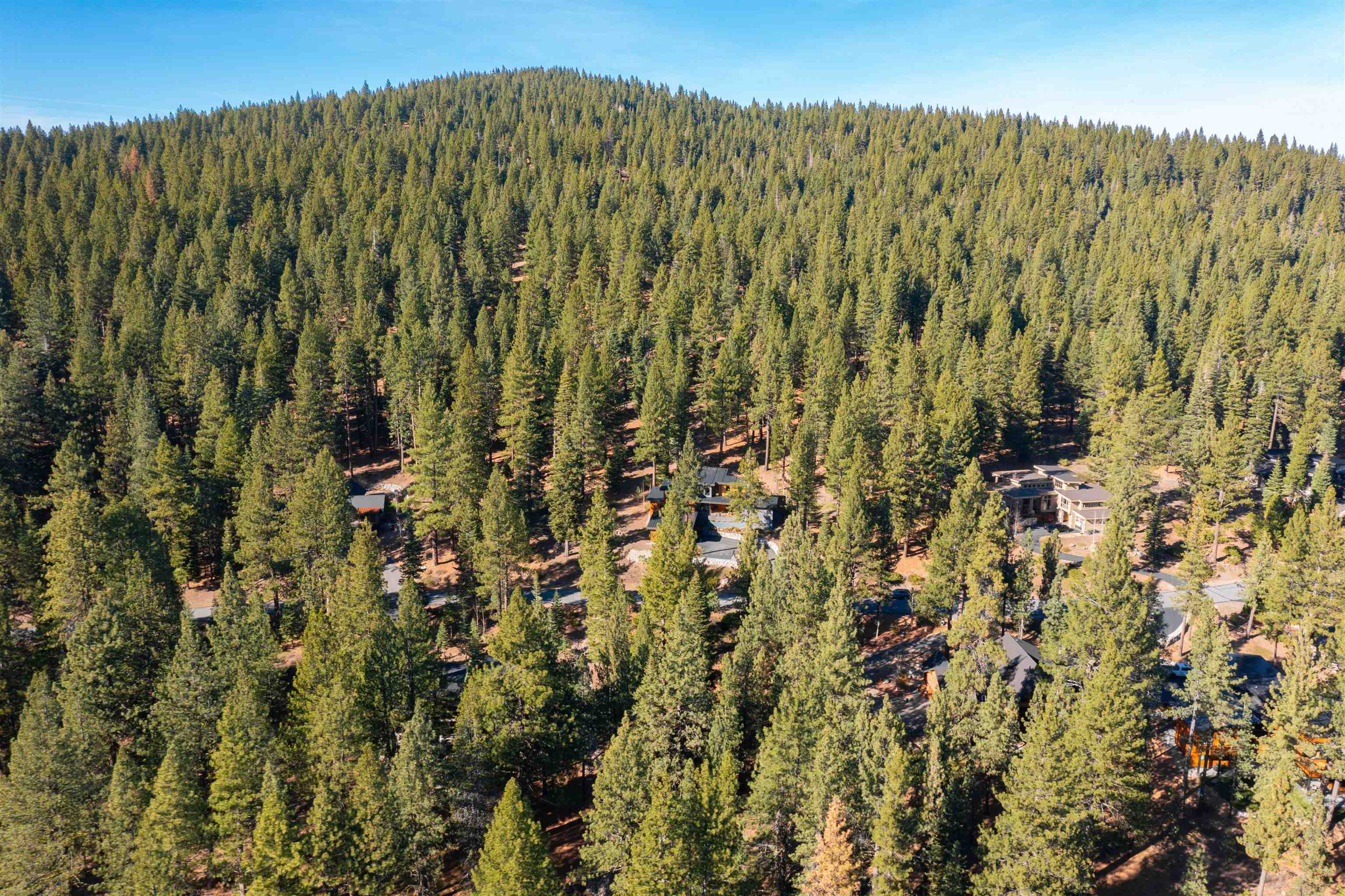 11925 Saddleback Drive