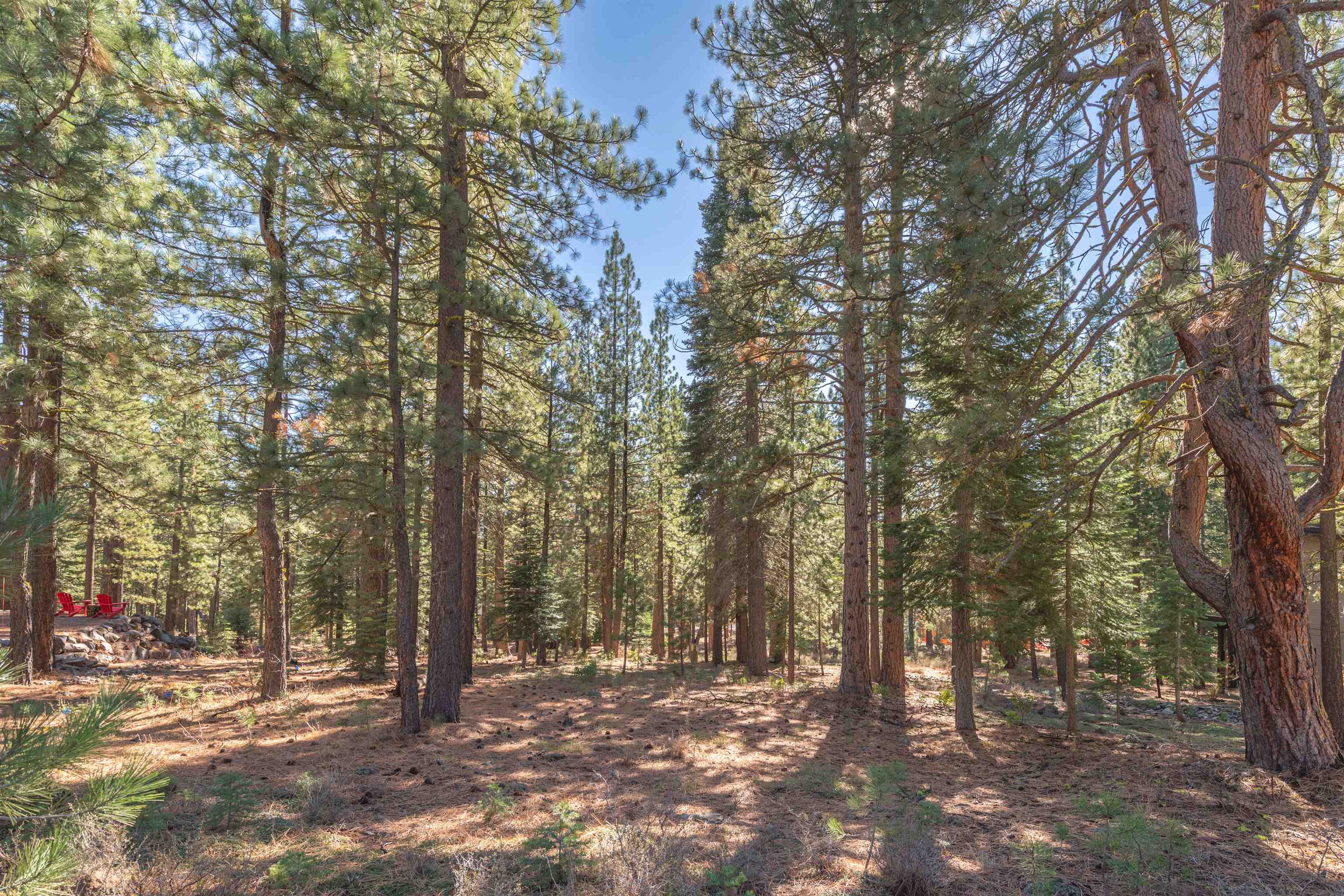 11925 Saddleback Drive