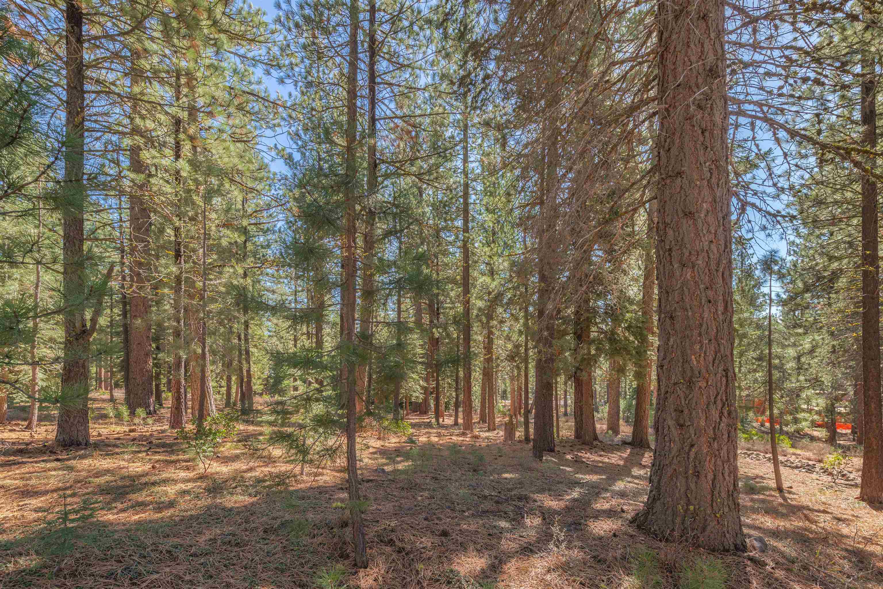 11925 Saddleback Drive