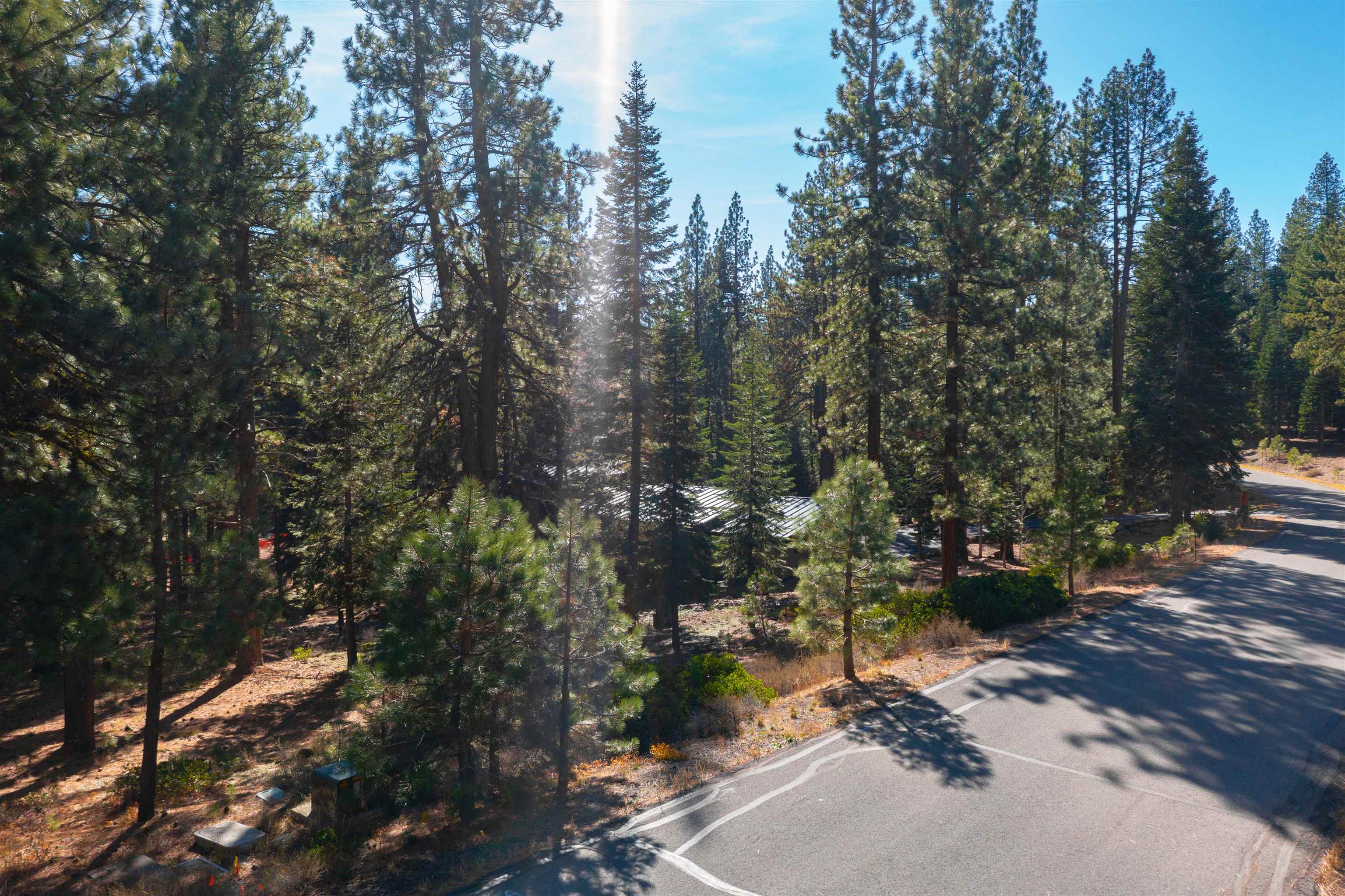 11925 Saddleback Drive