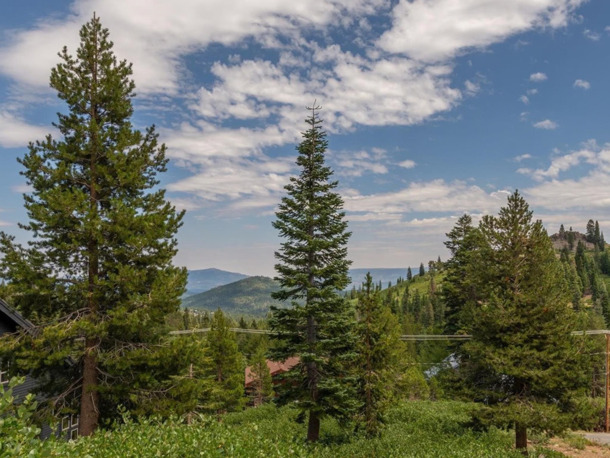 Mountain view framed by tall evergreens, with forested hills and rooftops below.