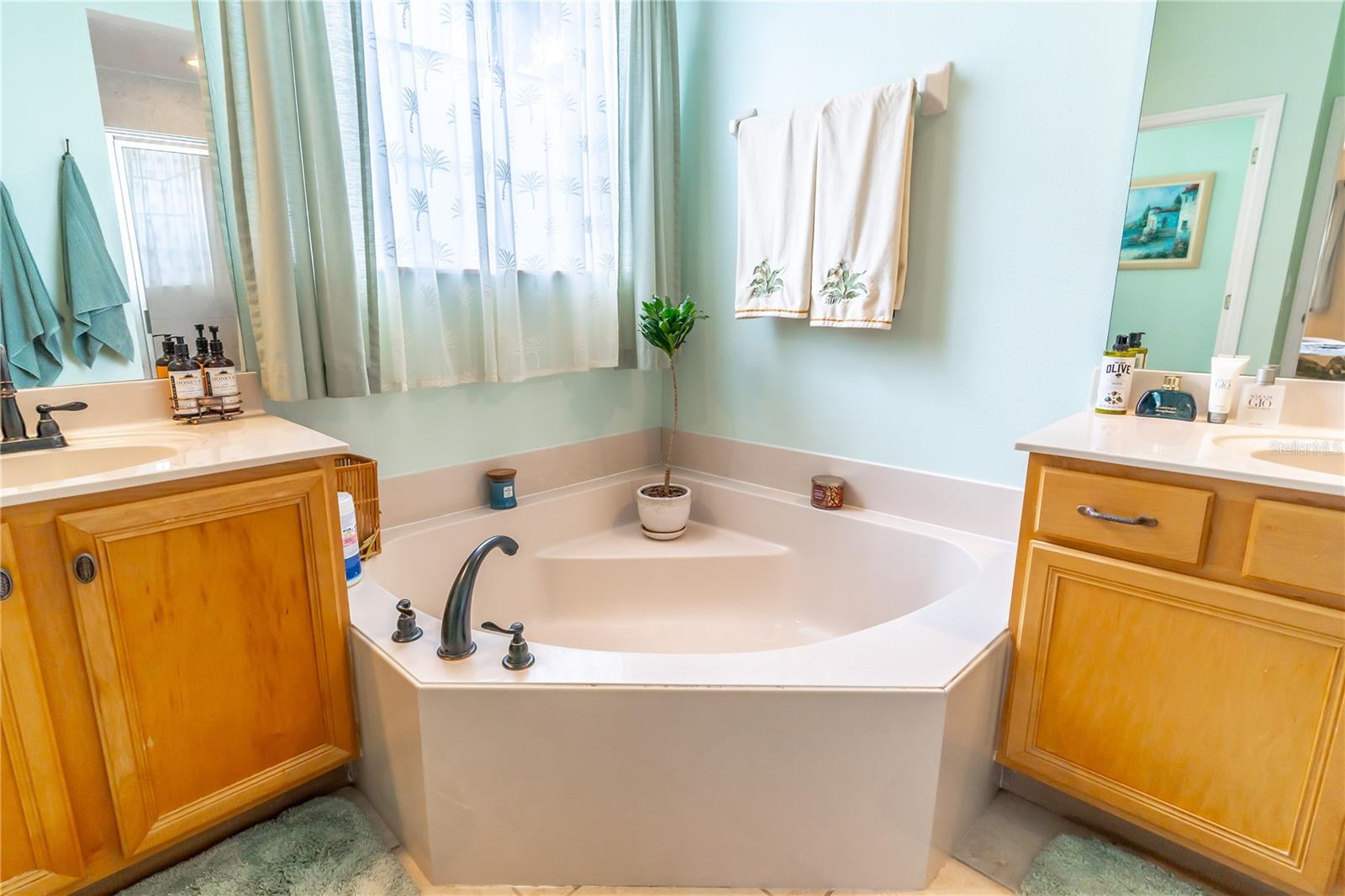 2098 CASCADES COVE DR