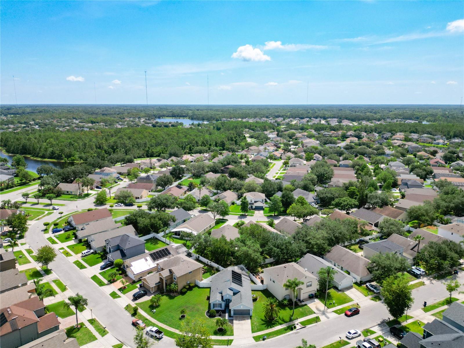 1851 HAMMOCK MOSS DR