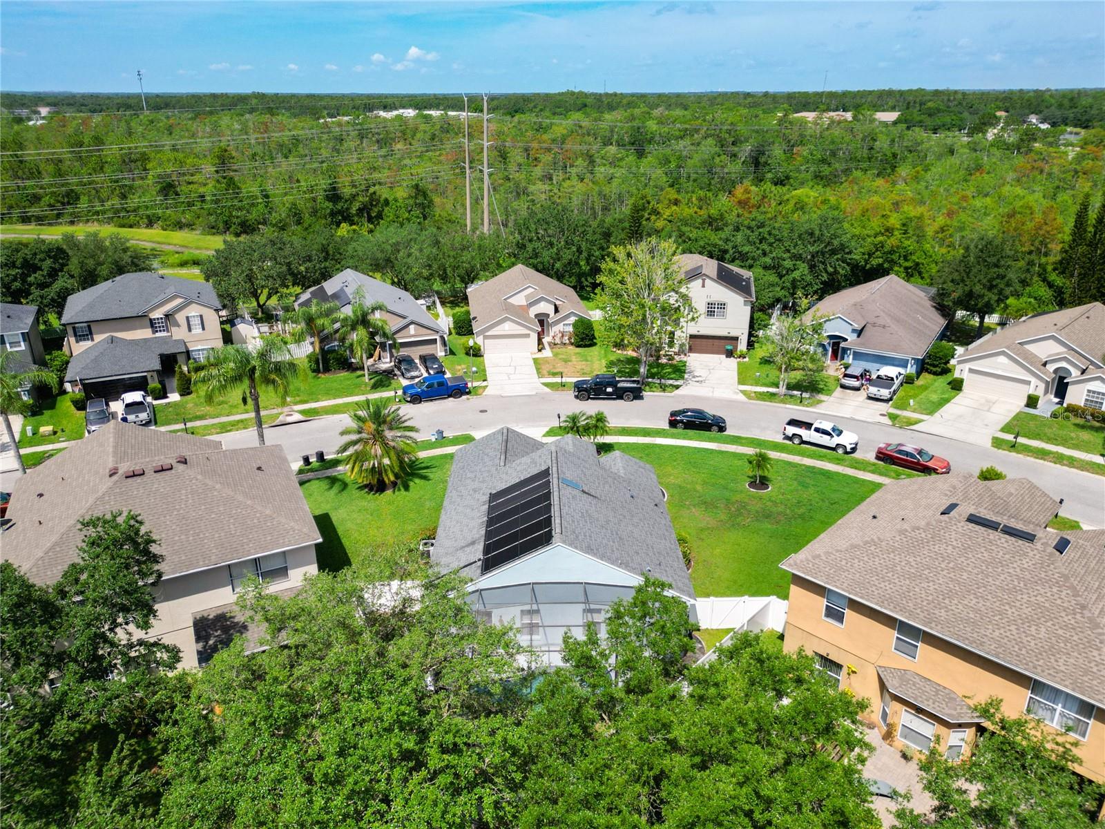 1851 HAMMOCK MOSS DR