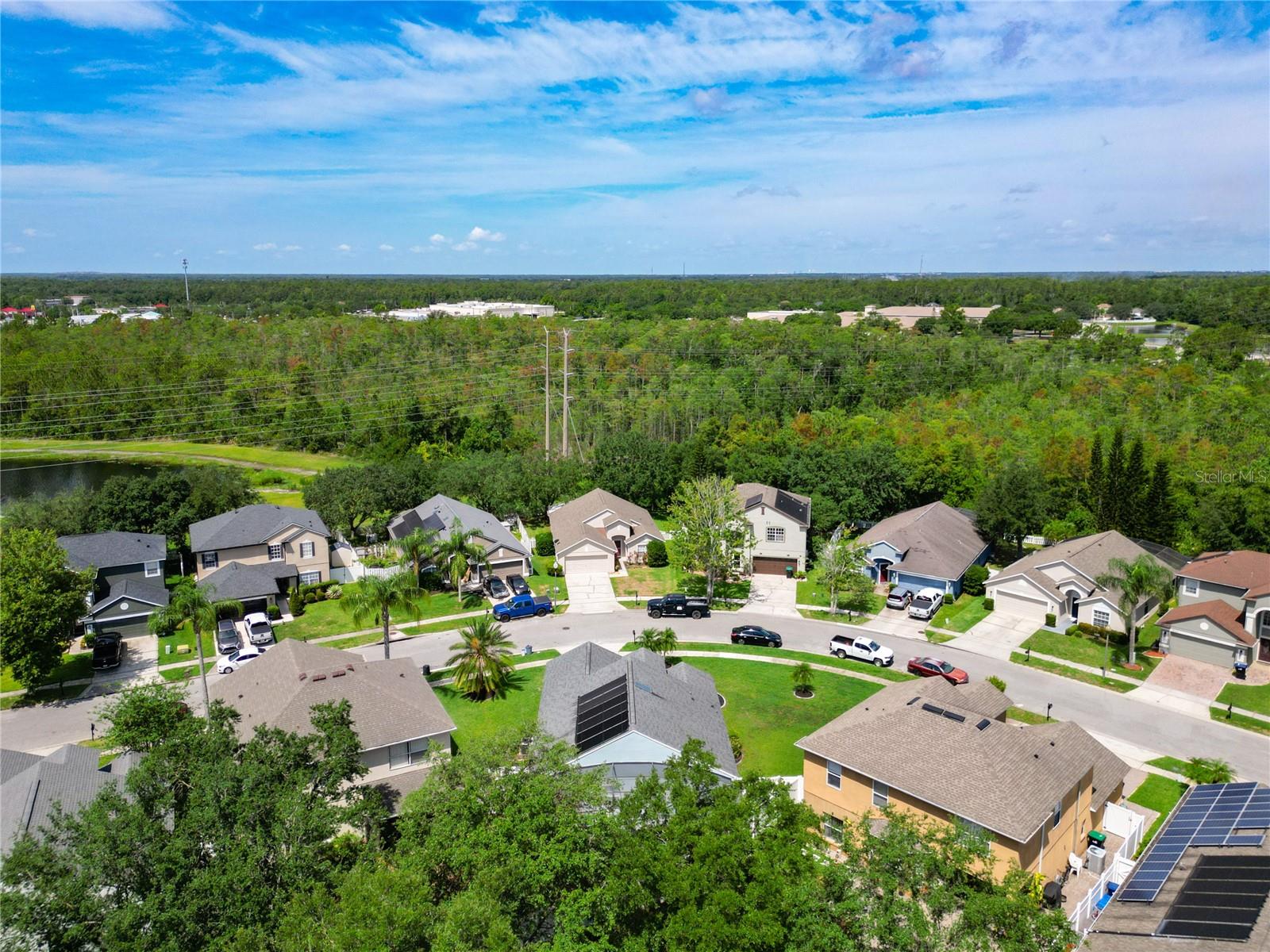 1851 HAMMOCK MOSS DR