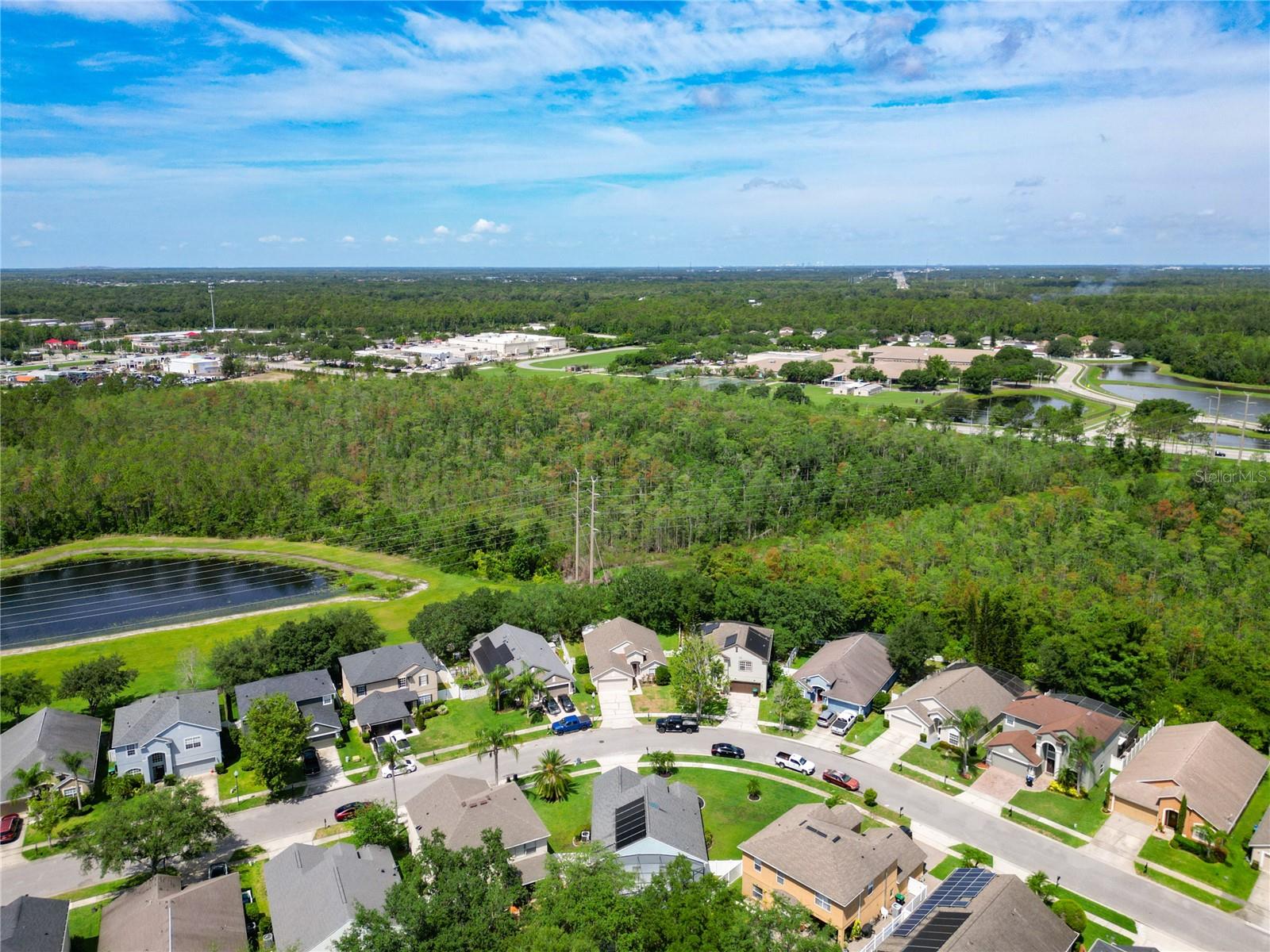 1851 HAMMOCK MOSS DR