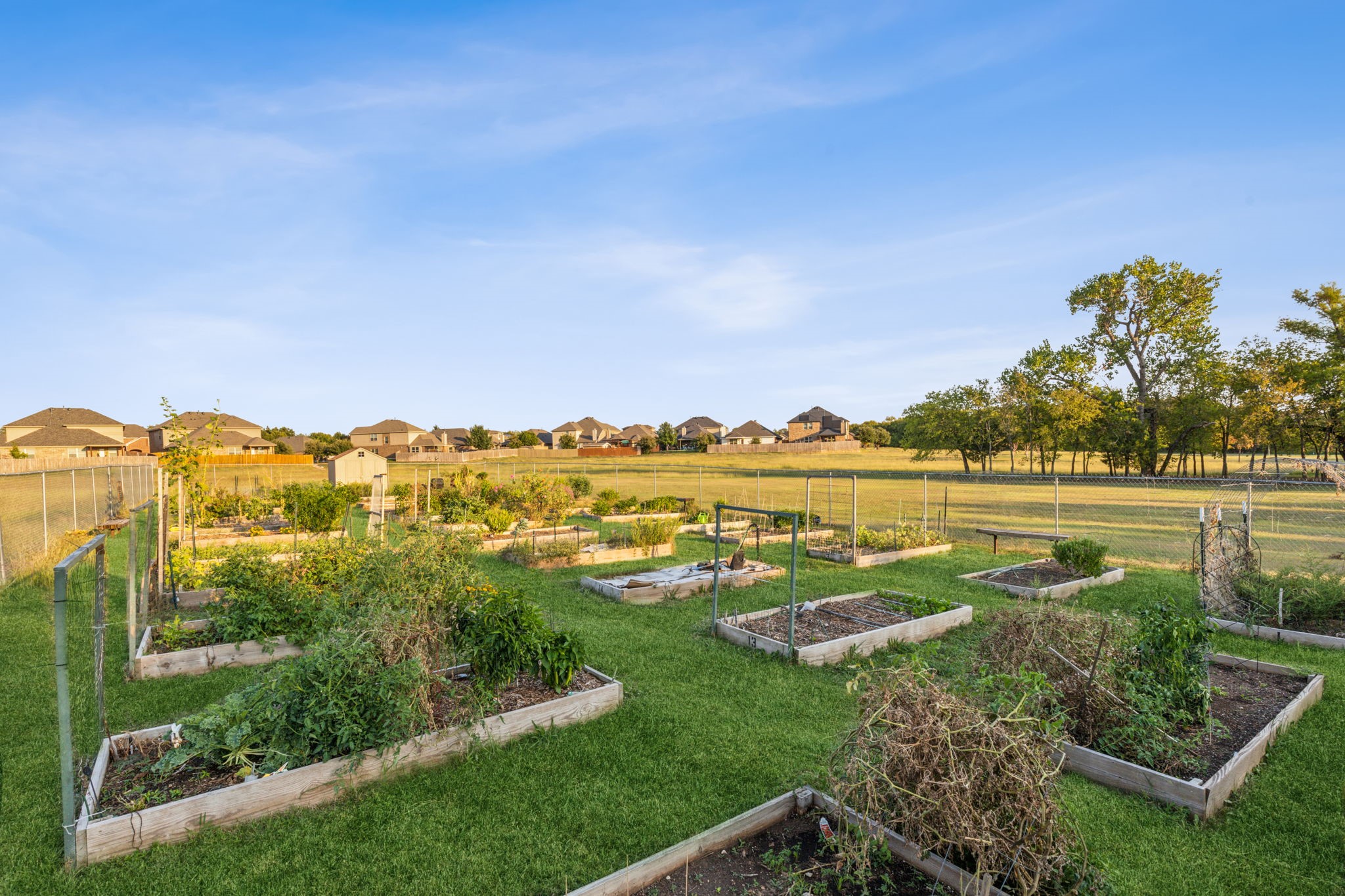1636 Yellowthroat Drive