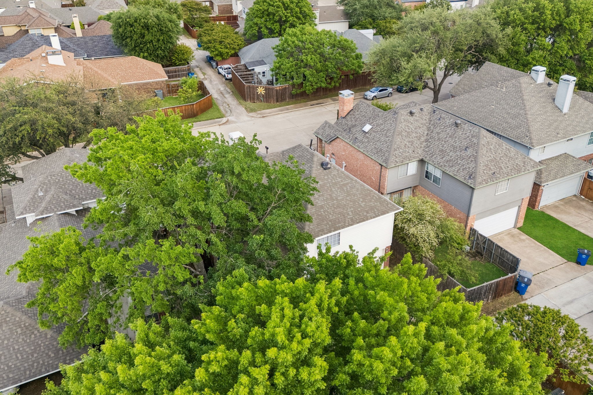 6207 Gray Wolf Trail