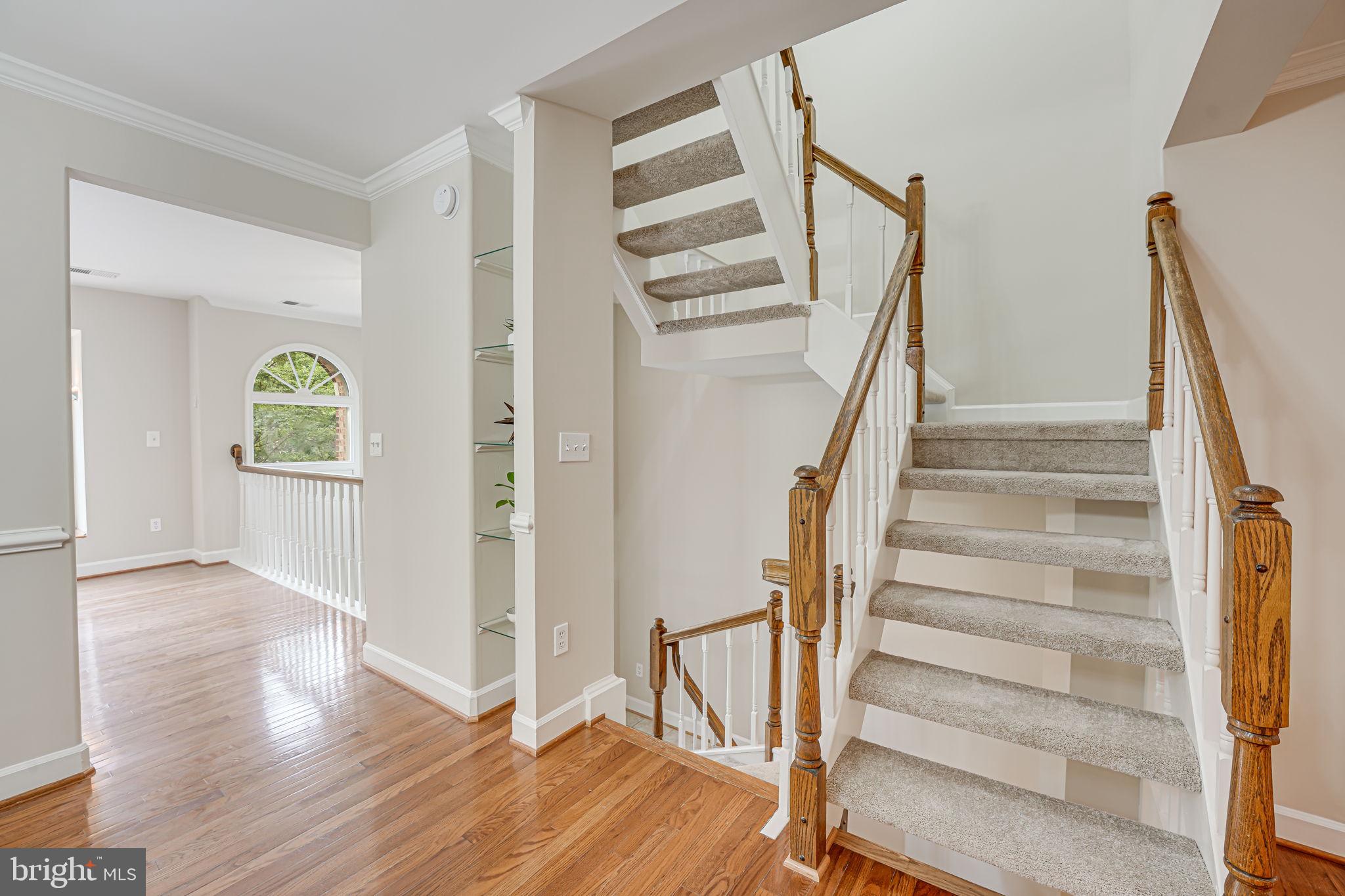 3919 Green Look Ct