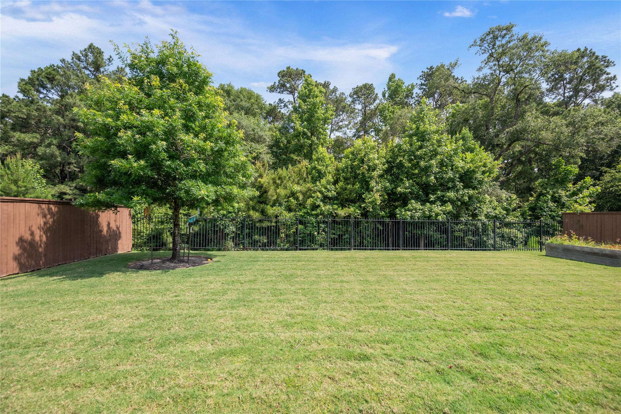 2215 Blue Duck Lane, Conroe