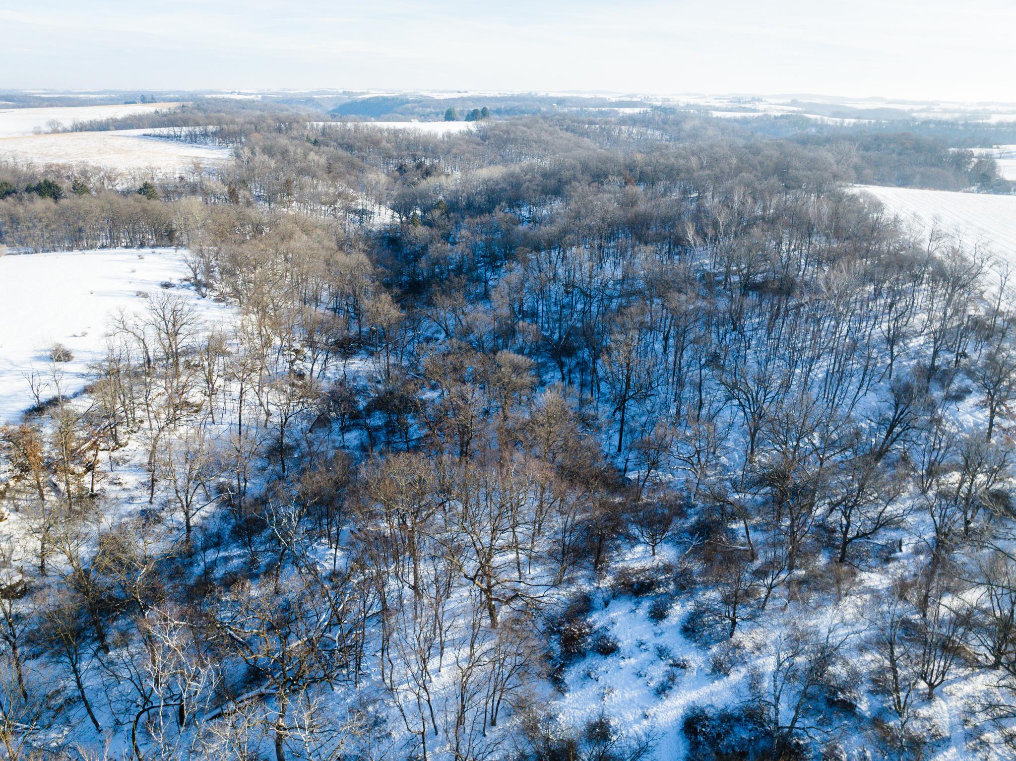 TBD XXXX Black Hammer Drive