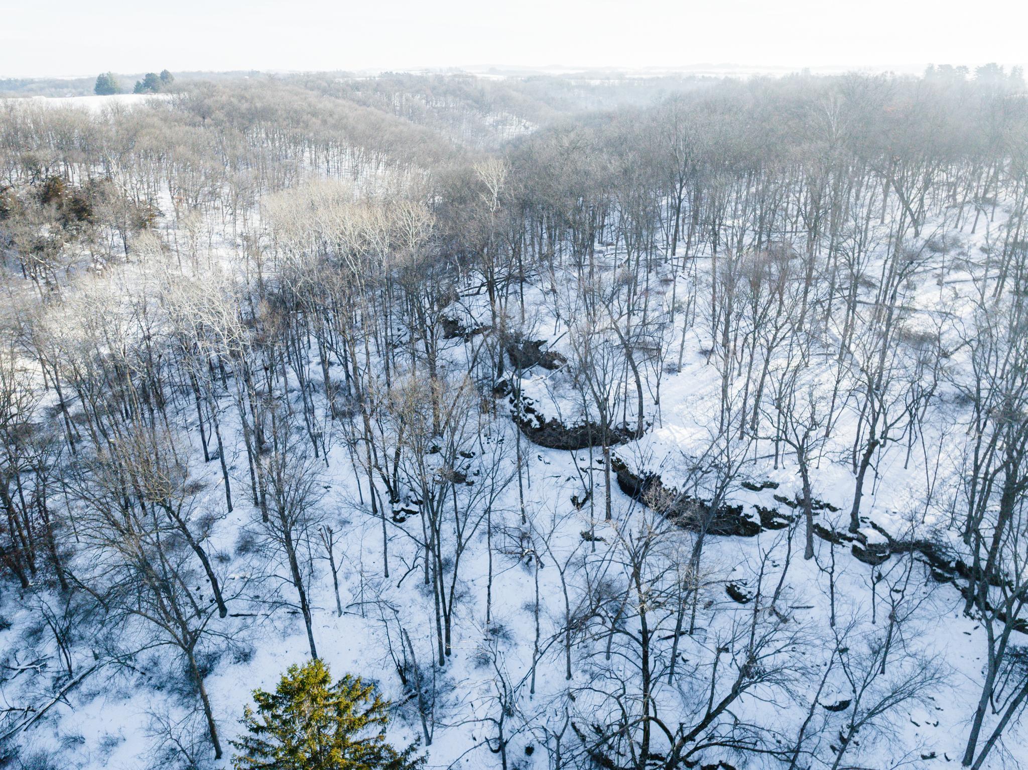 TBD XXXX Black Hammer Drive