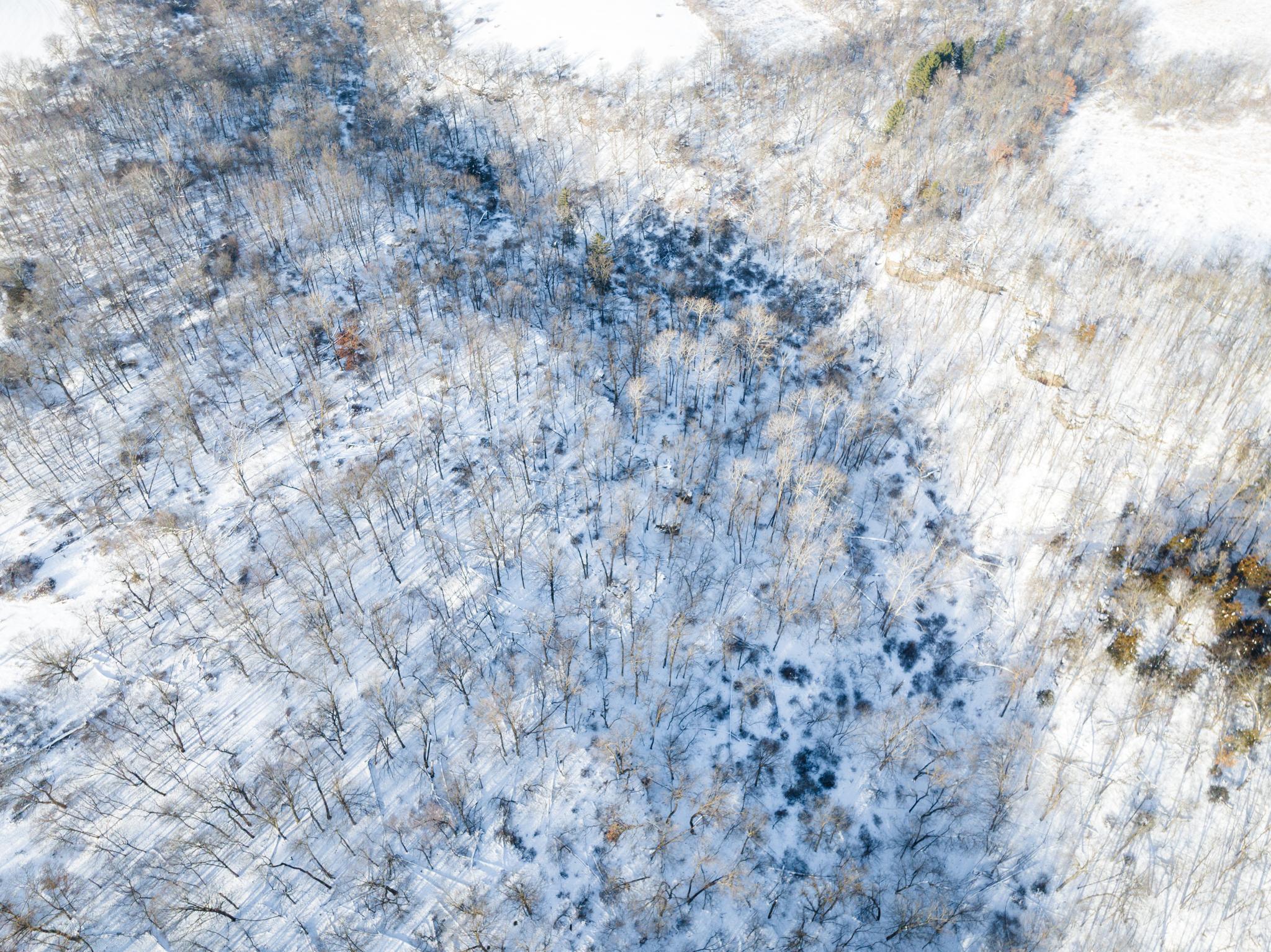 TBD XXXX Black Hammer Drive