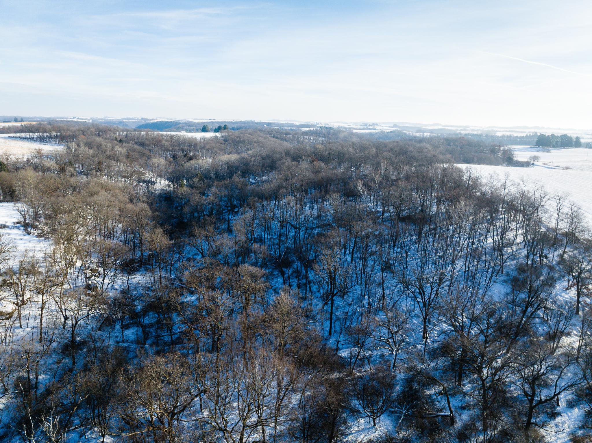 TBD XXXX Black Hammer Drive