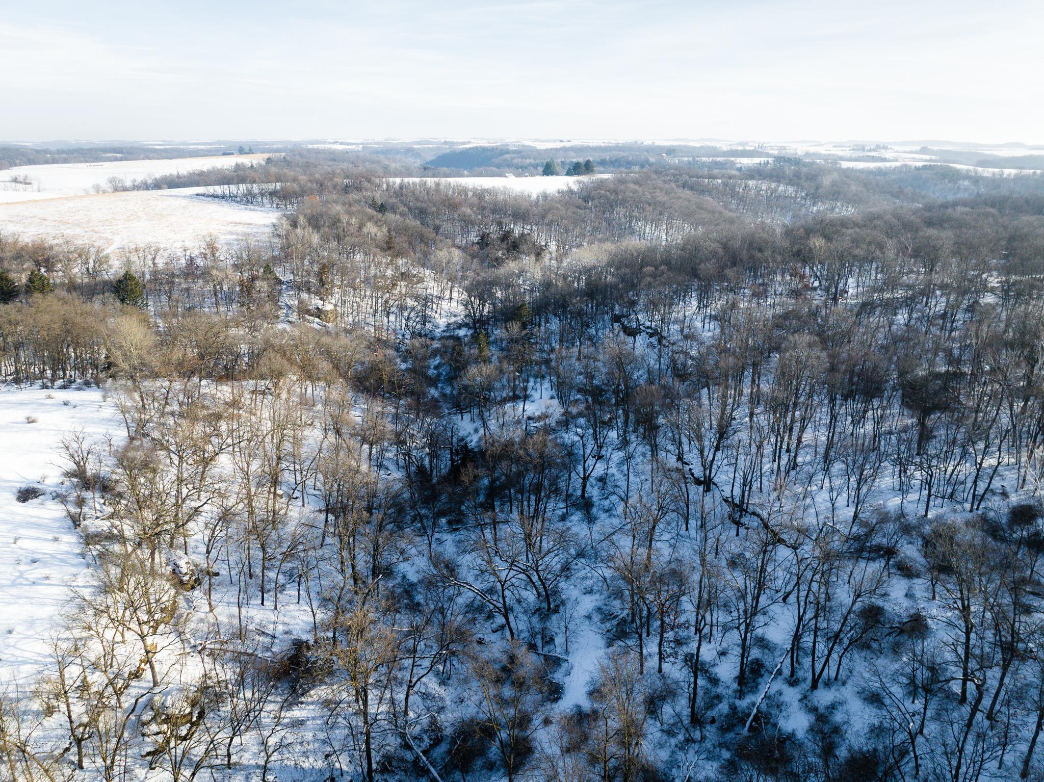 TBD XXXX Black Hammer Drive