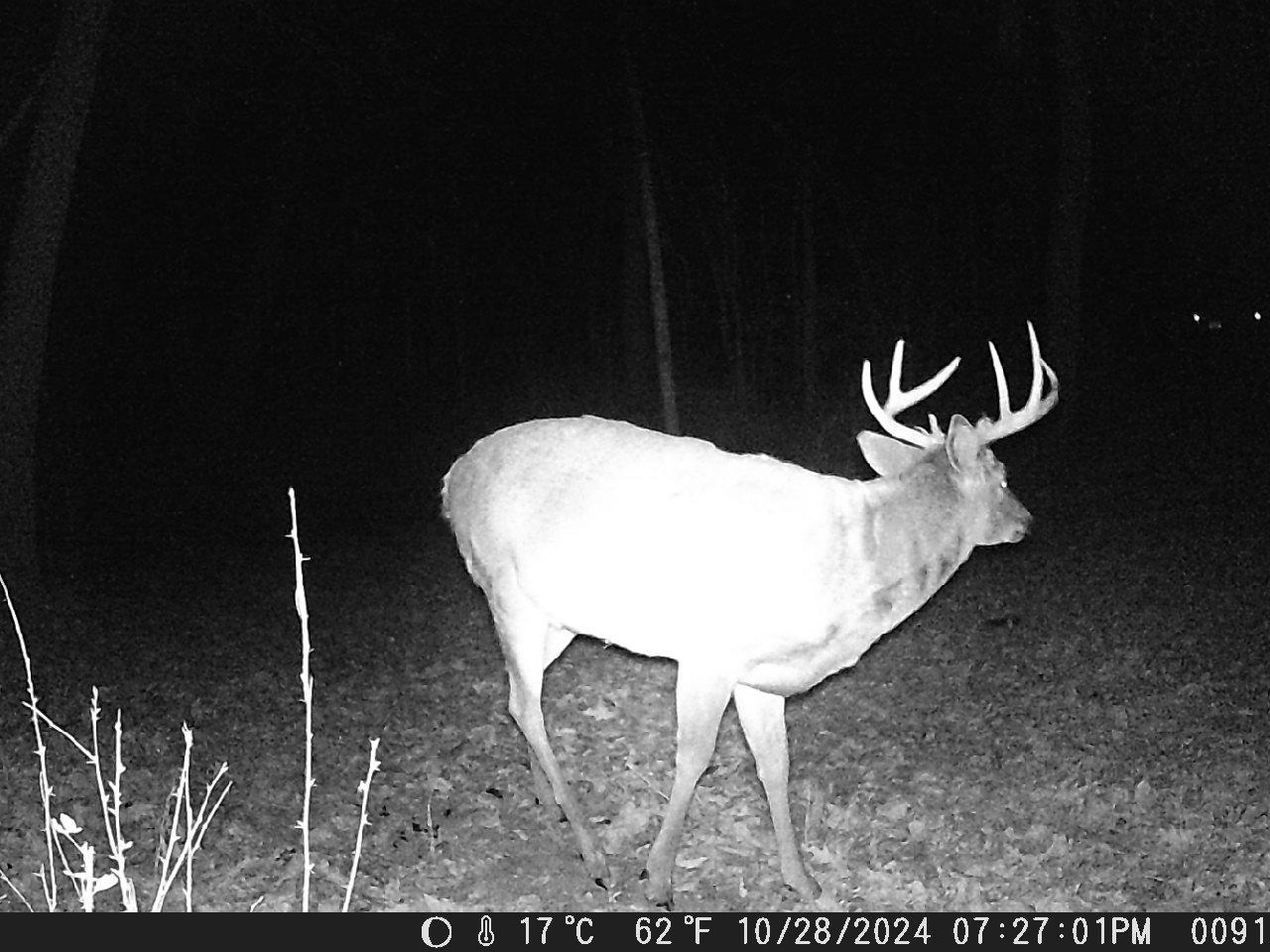 TBD Deer Rd