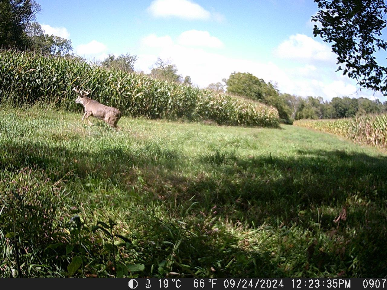 TBD Deer Rd