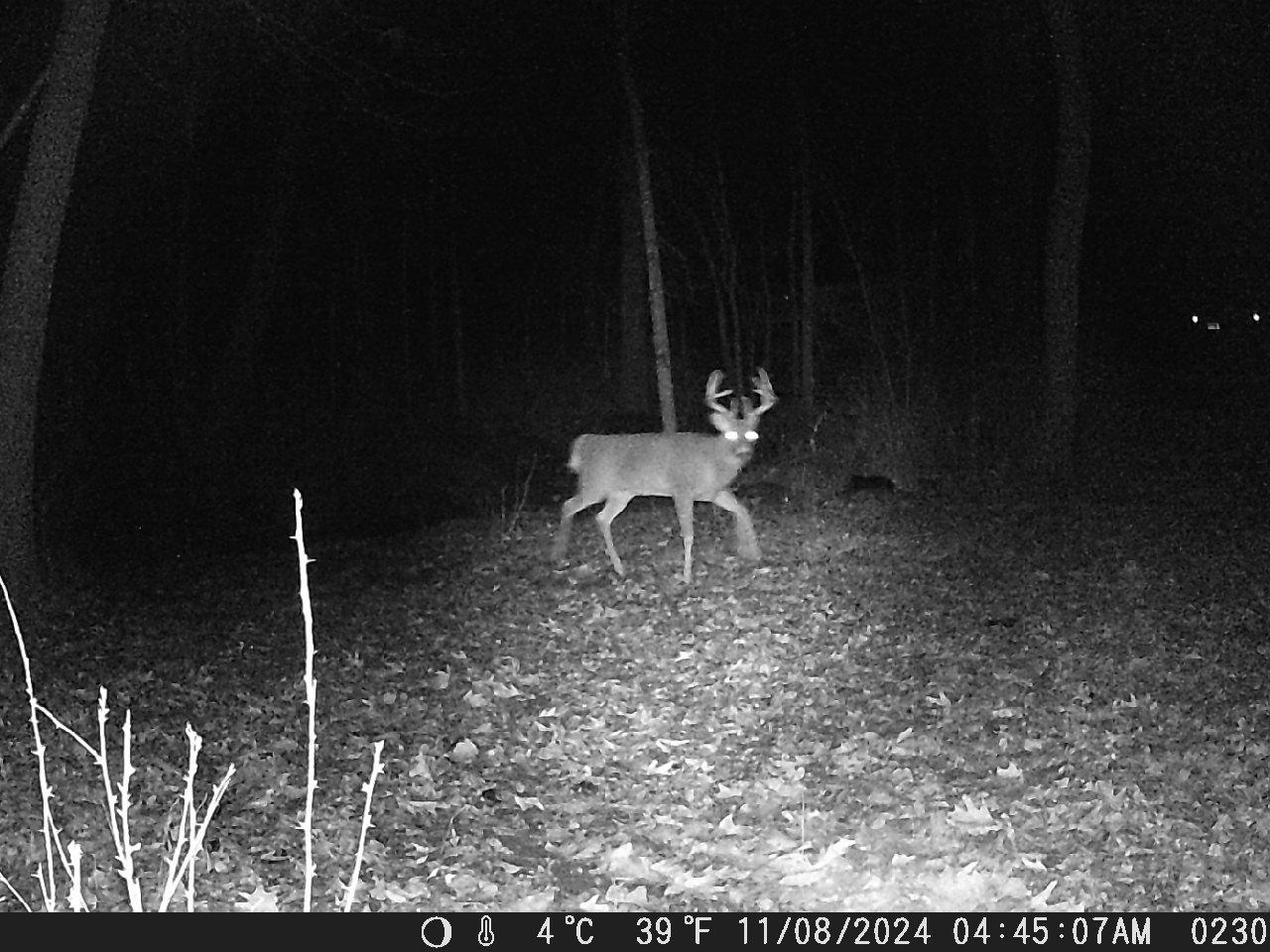 TBD Deer Rd
