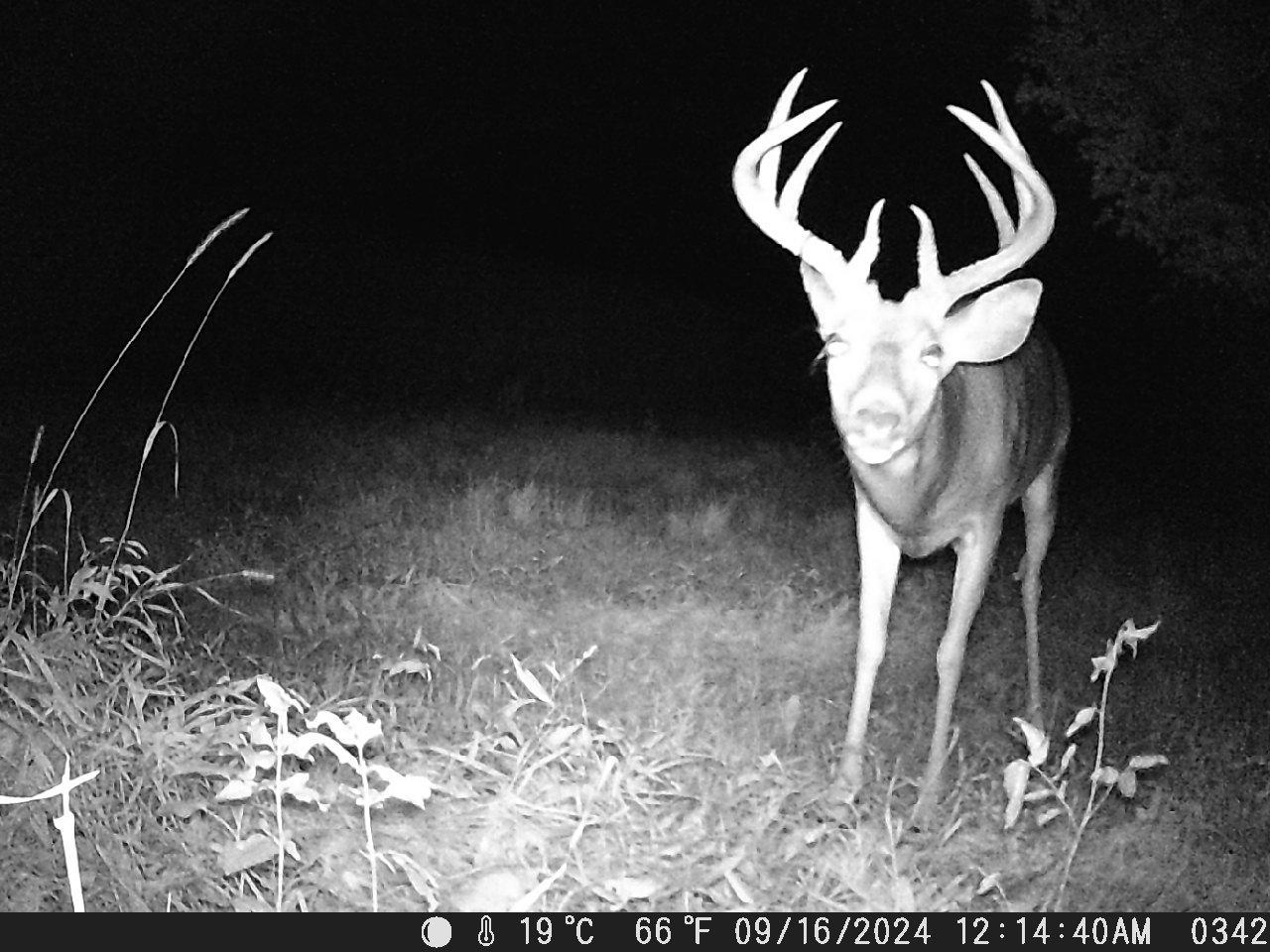 TBD Deer Rd