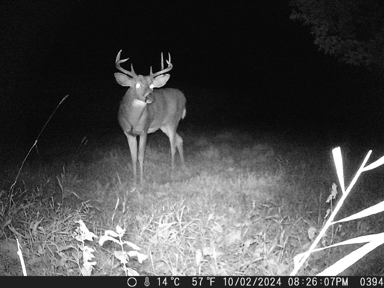 TBD Deer Rd