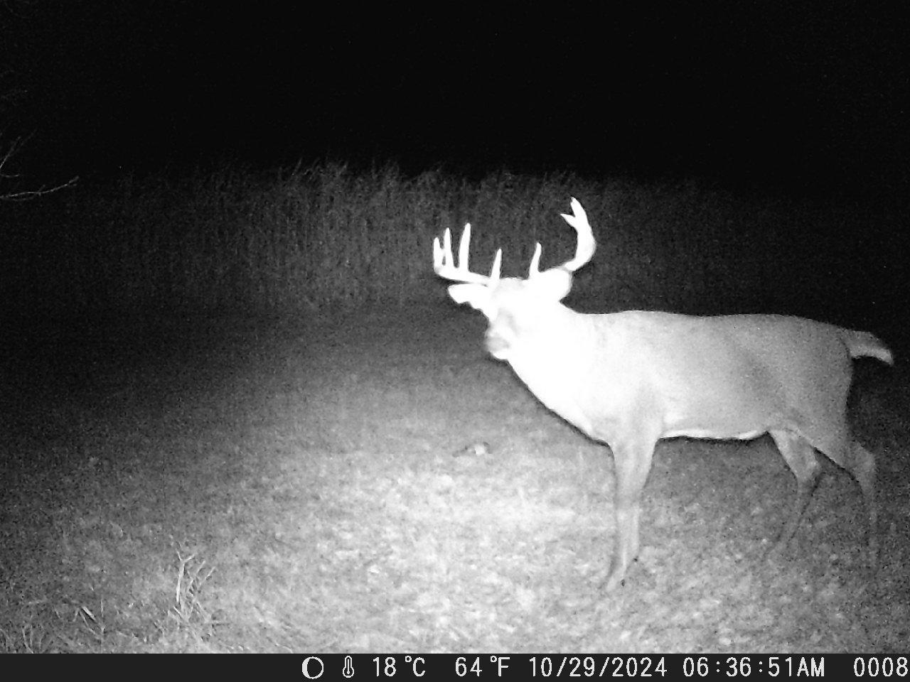 TBD Deer Rd