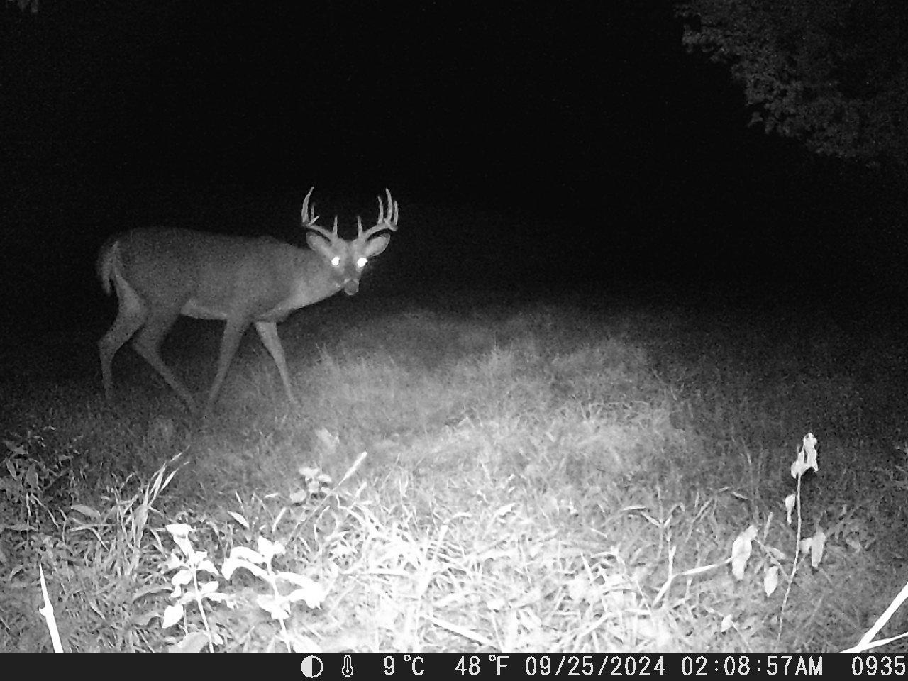 TBD Deer Rd