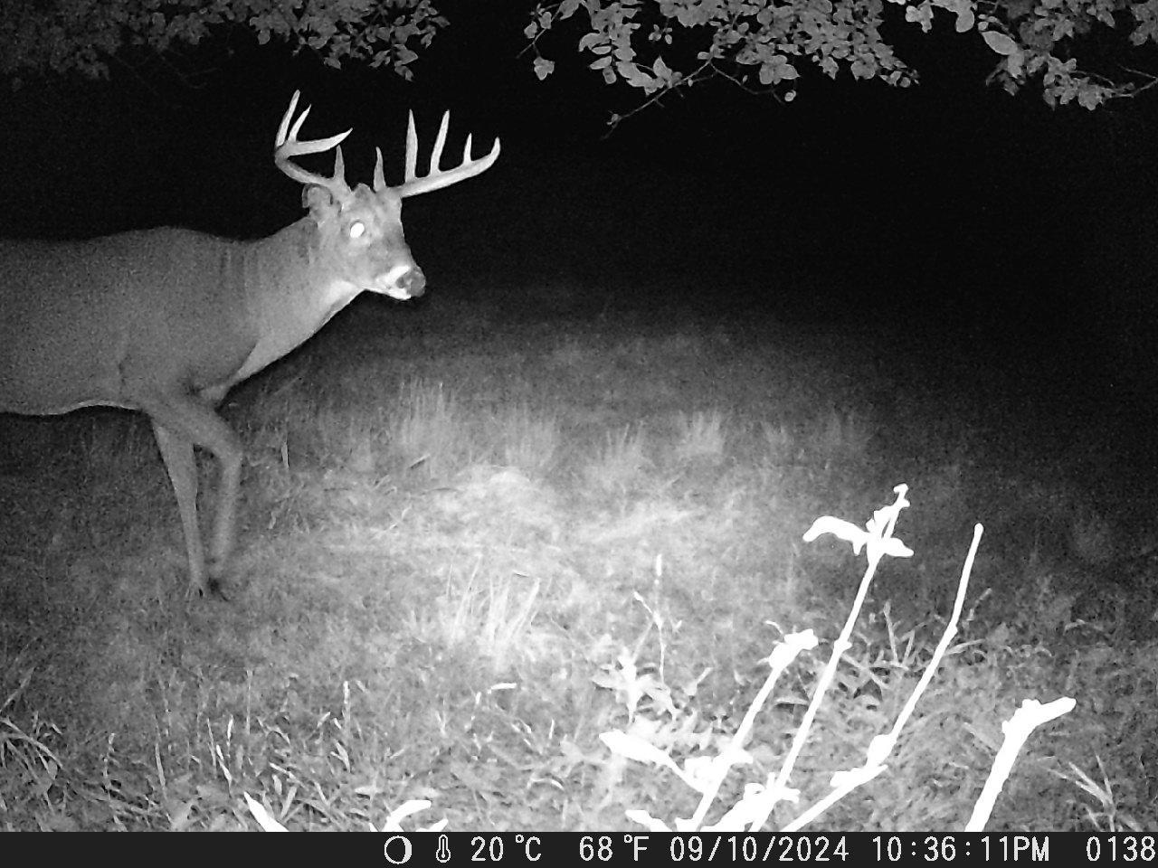 TBD Deer Rd