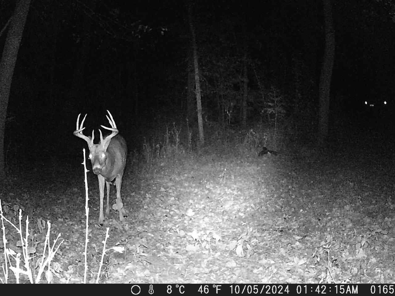 TBD Deer Rd