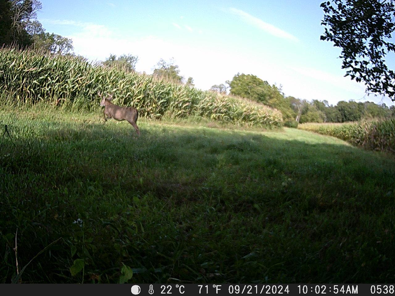 TBD Deer Rd