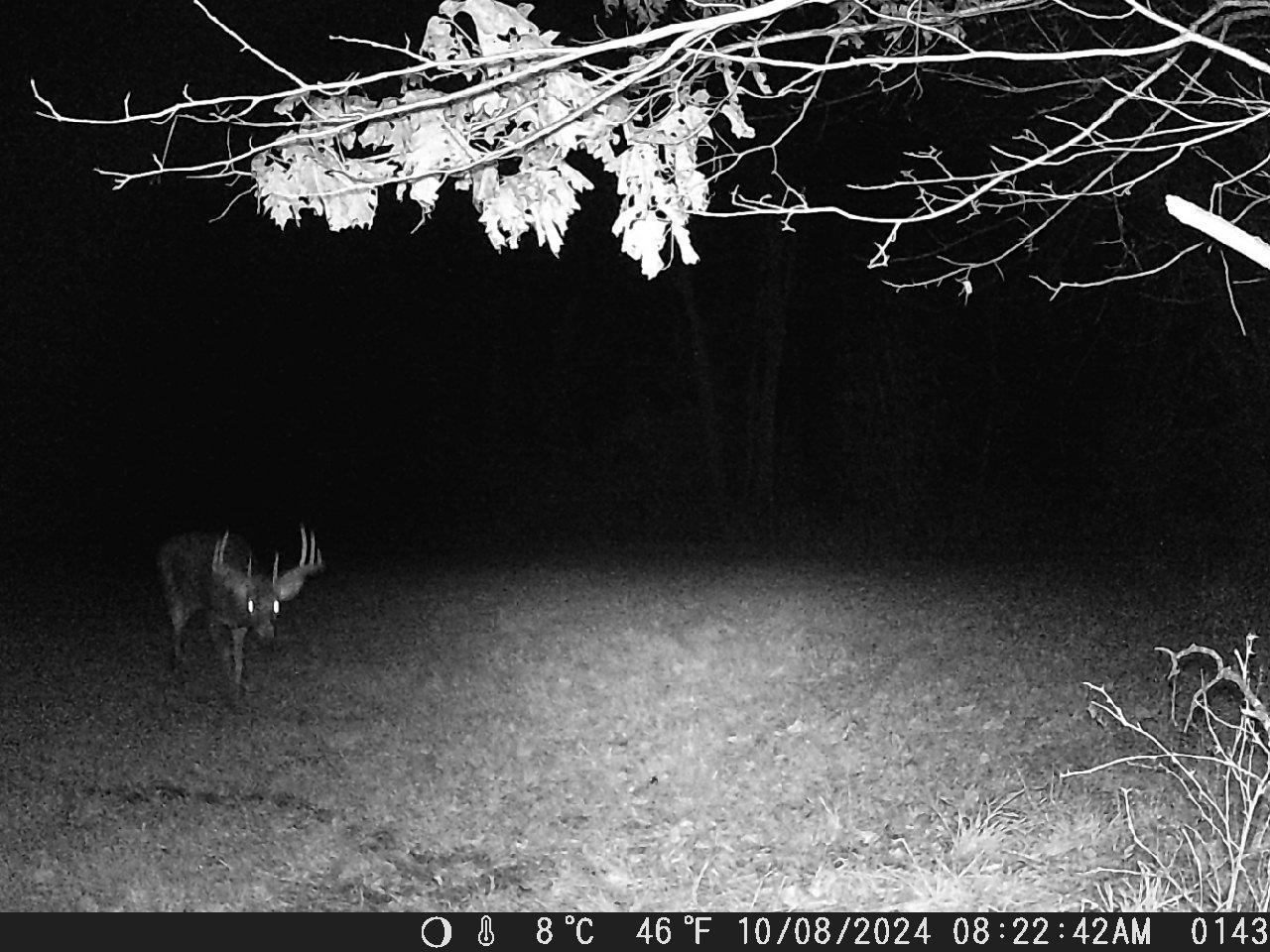 TBD Deer Rd