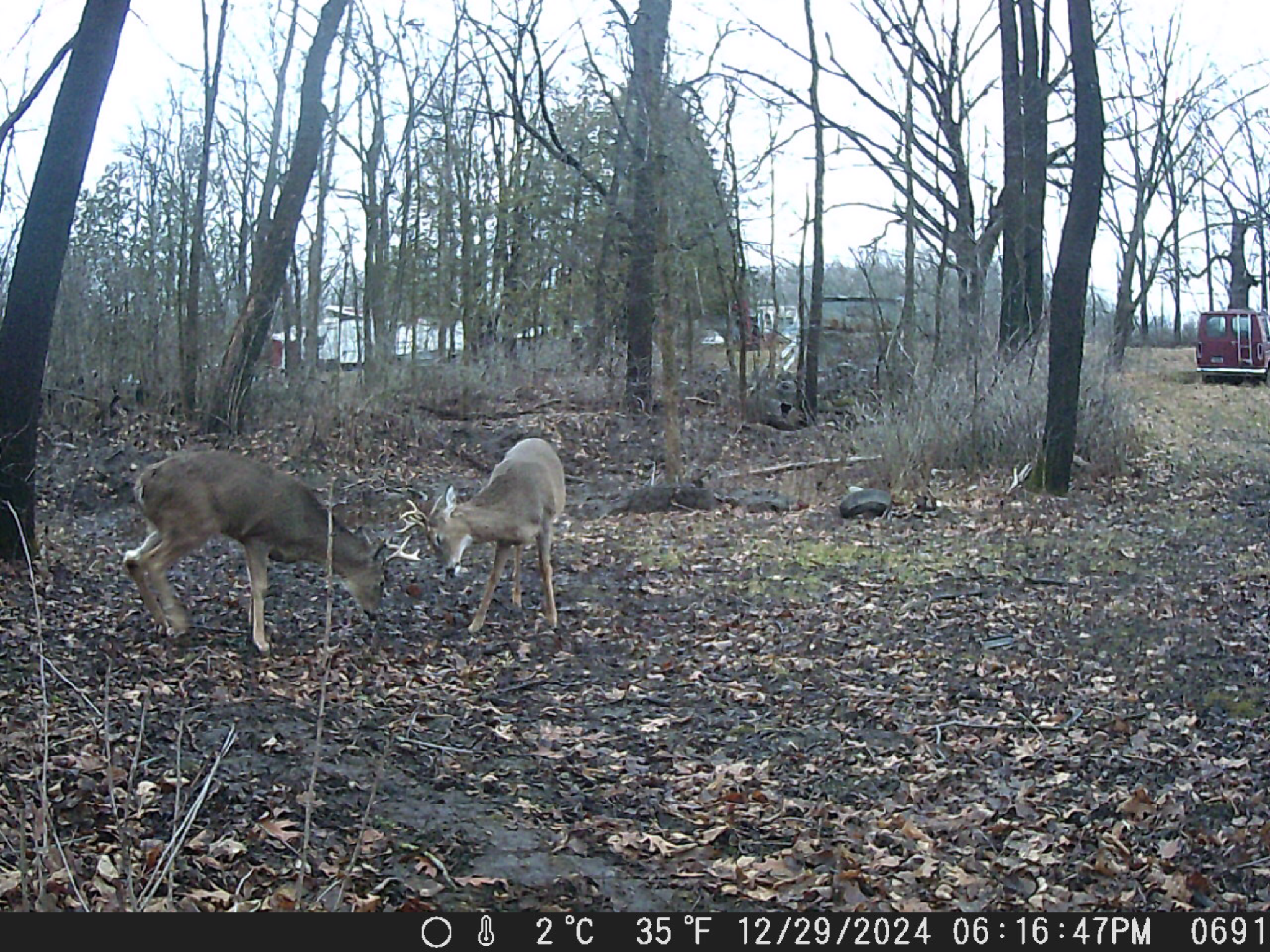 TBD Deer Rd