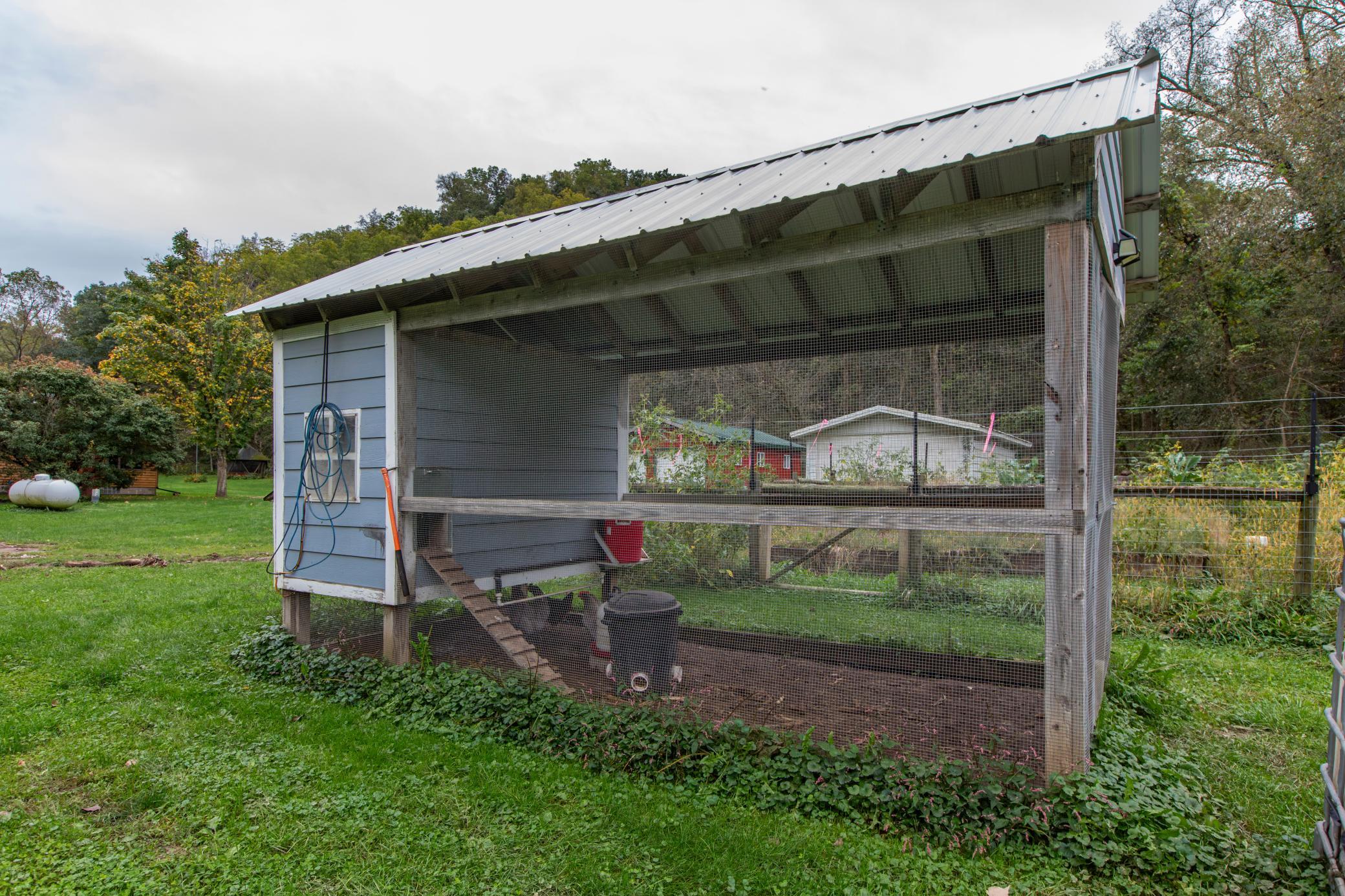 Covered chicken run with wire-mesh sides and an attached blue-sided coop in a grassy yard.
