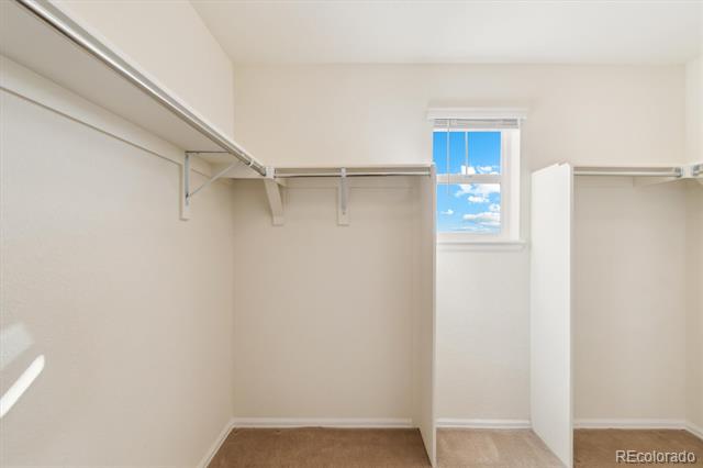 3375 Umber Circle