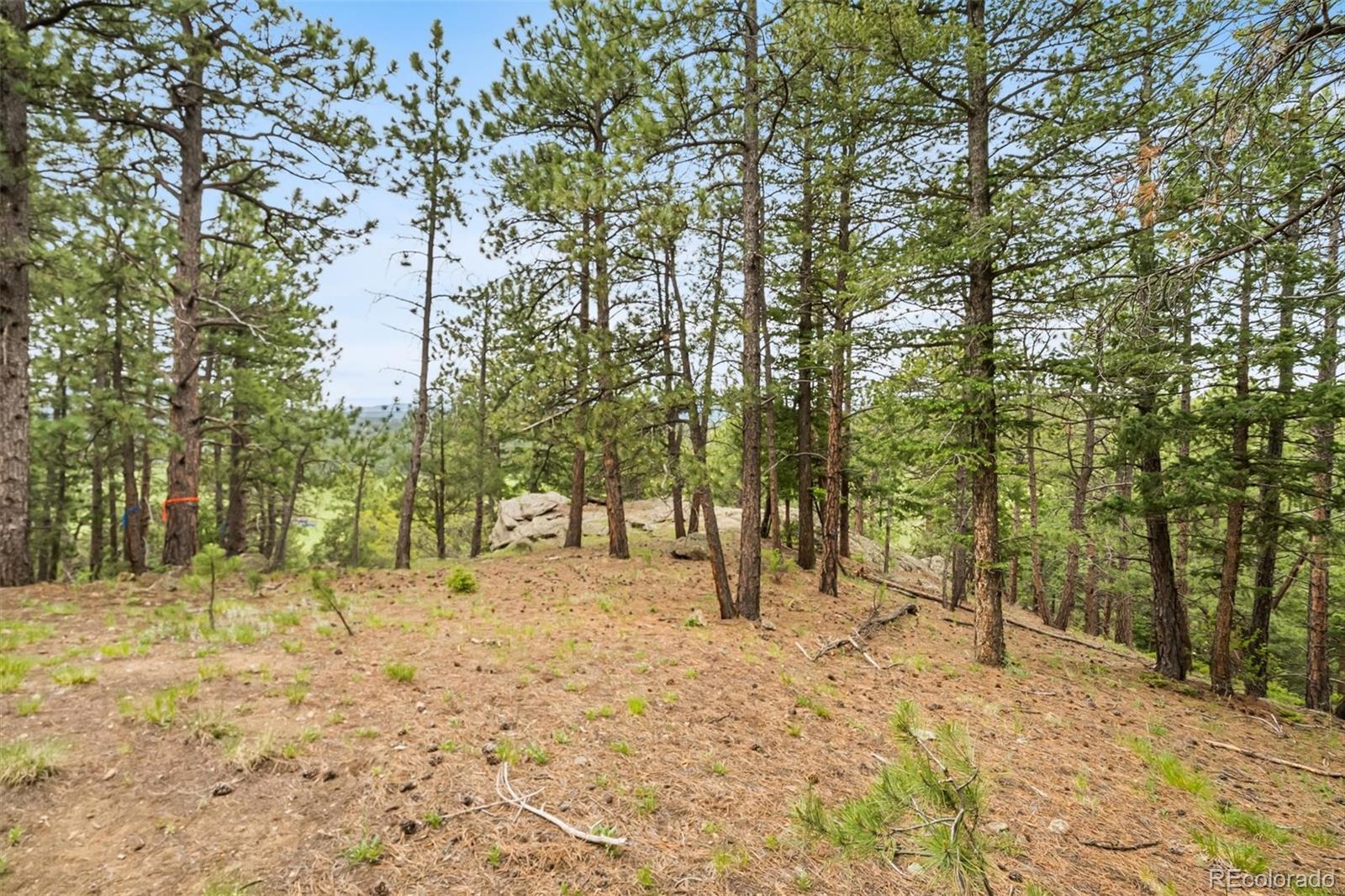 5825 High Drive