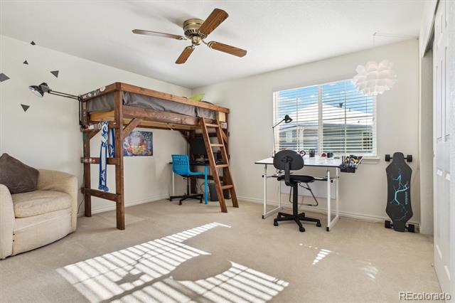 6529 S Rifle Court