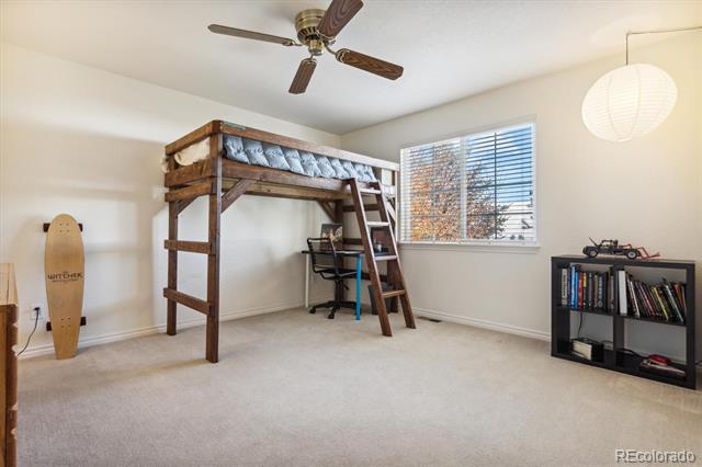 6529 S Rifle Court