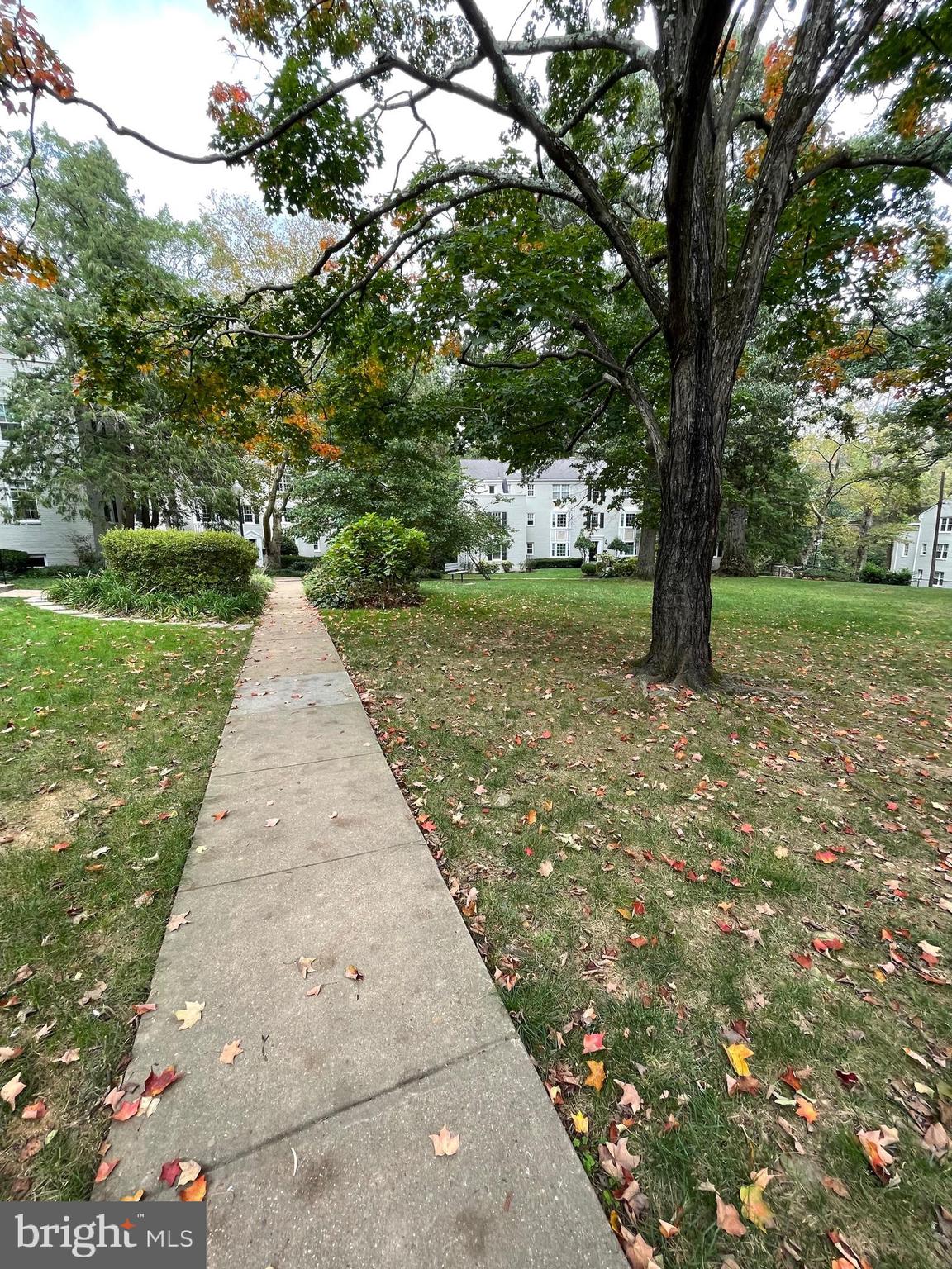 702 S Arlington Mill Dr, #203
