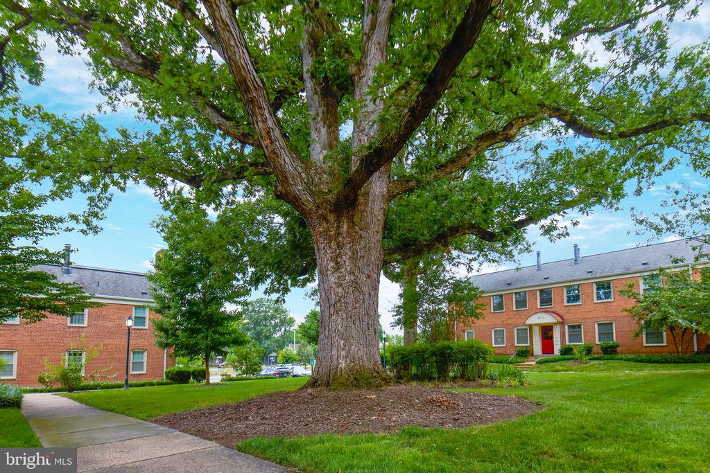 2501 ARLINGTON BOULEVARD Unit: 2