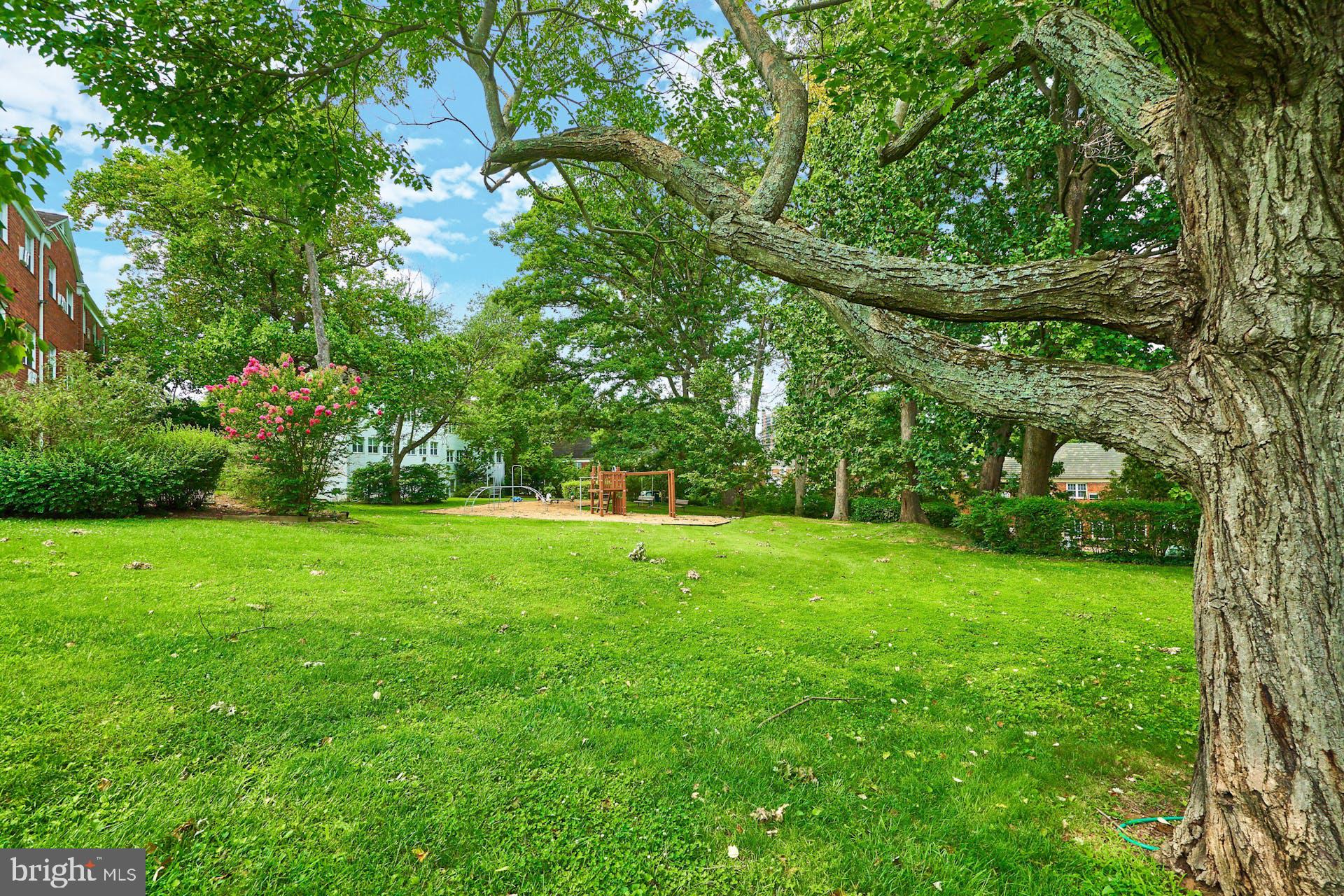1336 Martha Custis Dr