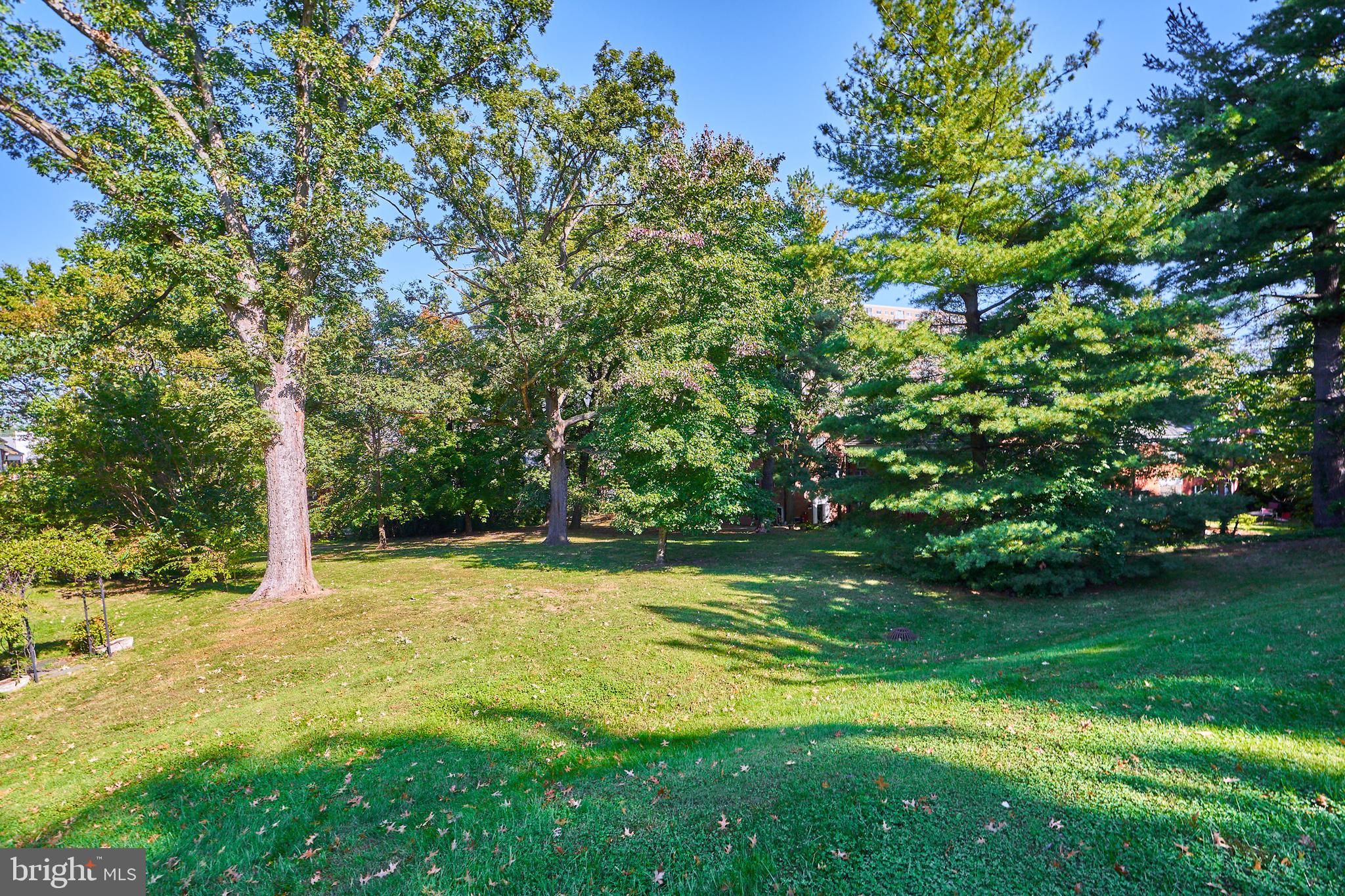 1308 Martha Custis Dr